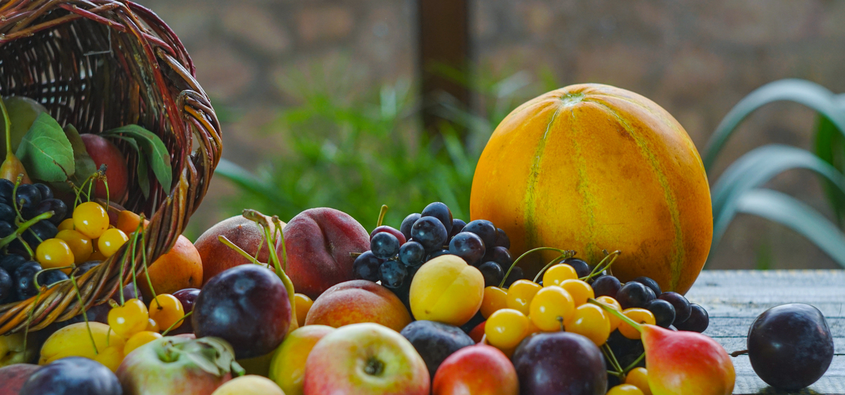夏天的美好与活力：一个充满色彩和活力的季节