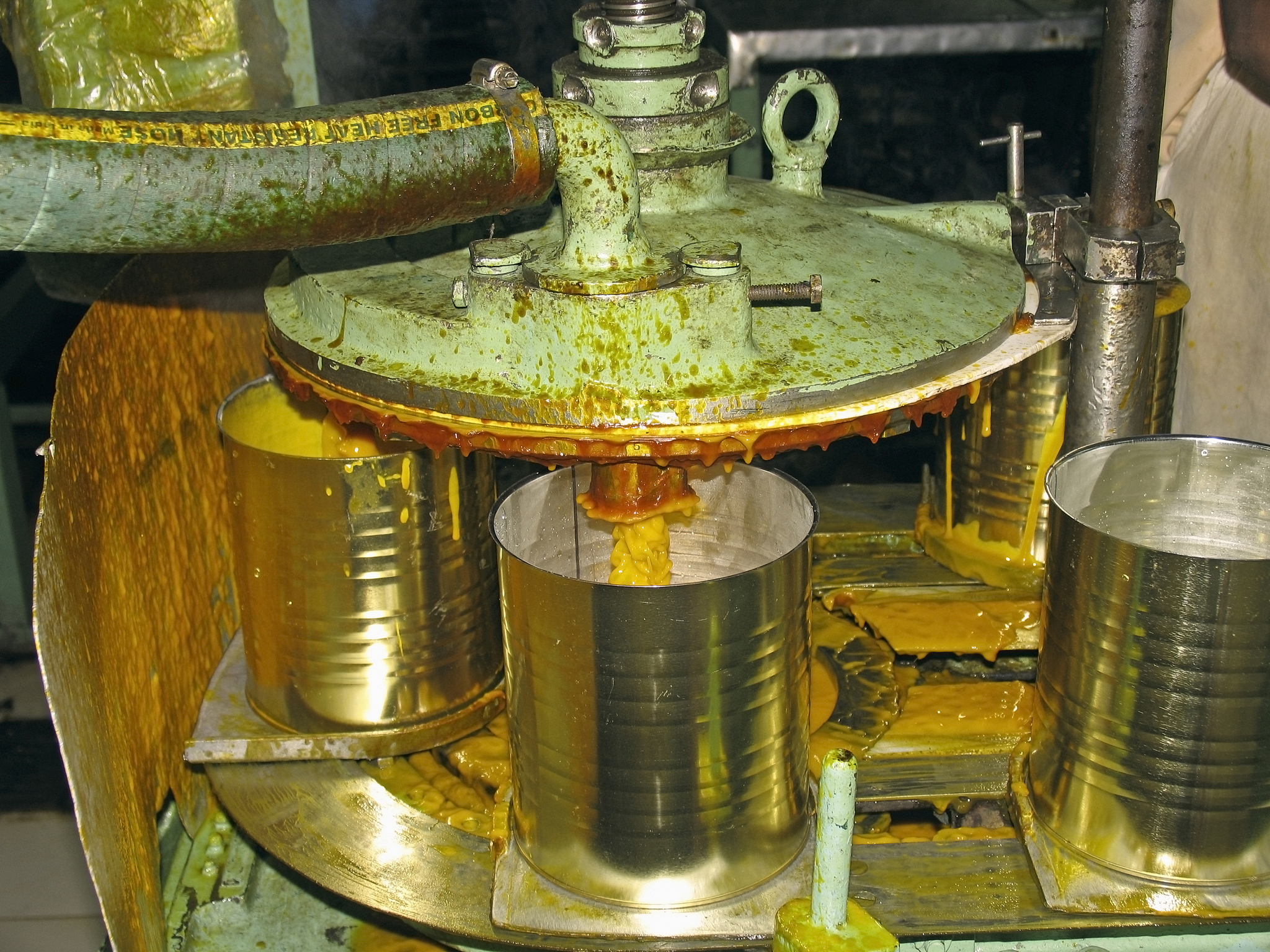 mango-processing factory