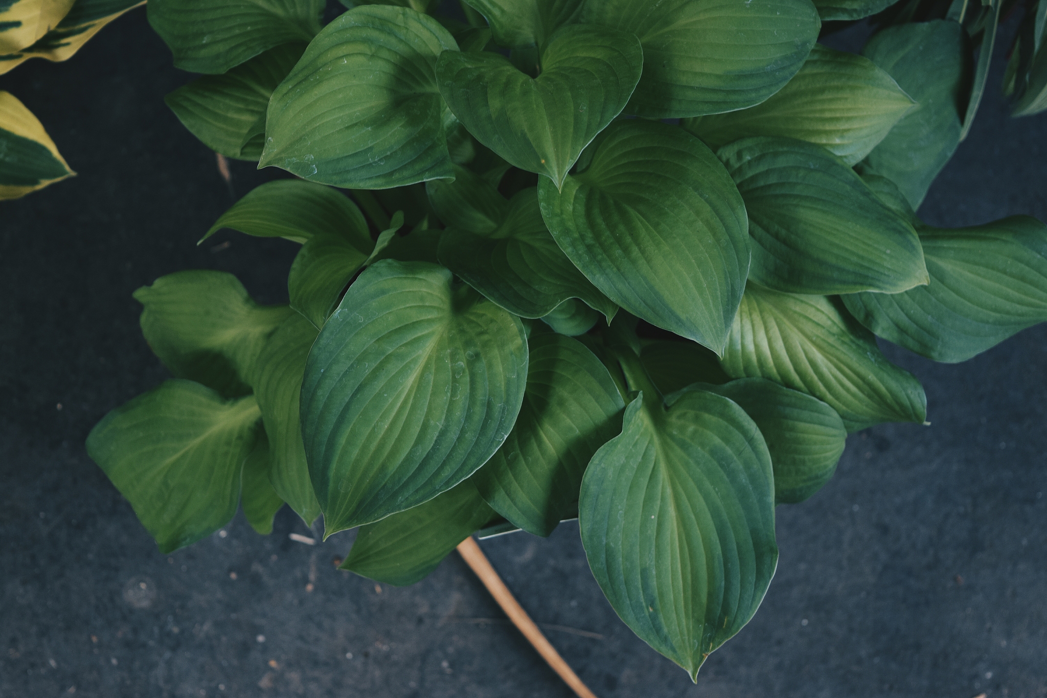 朔州职业技术学院作物生产技术专业如何好学吗