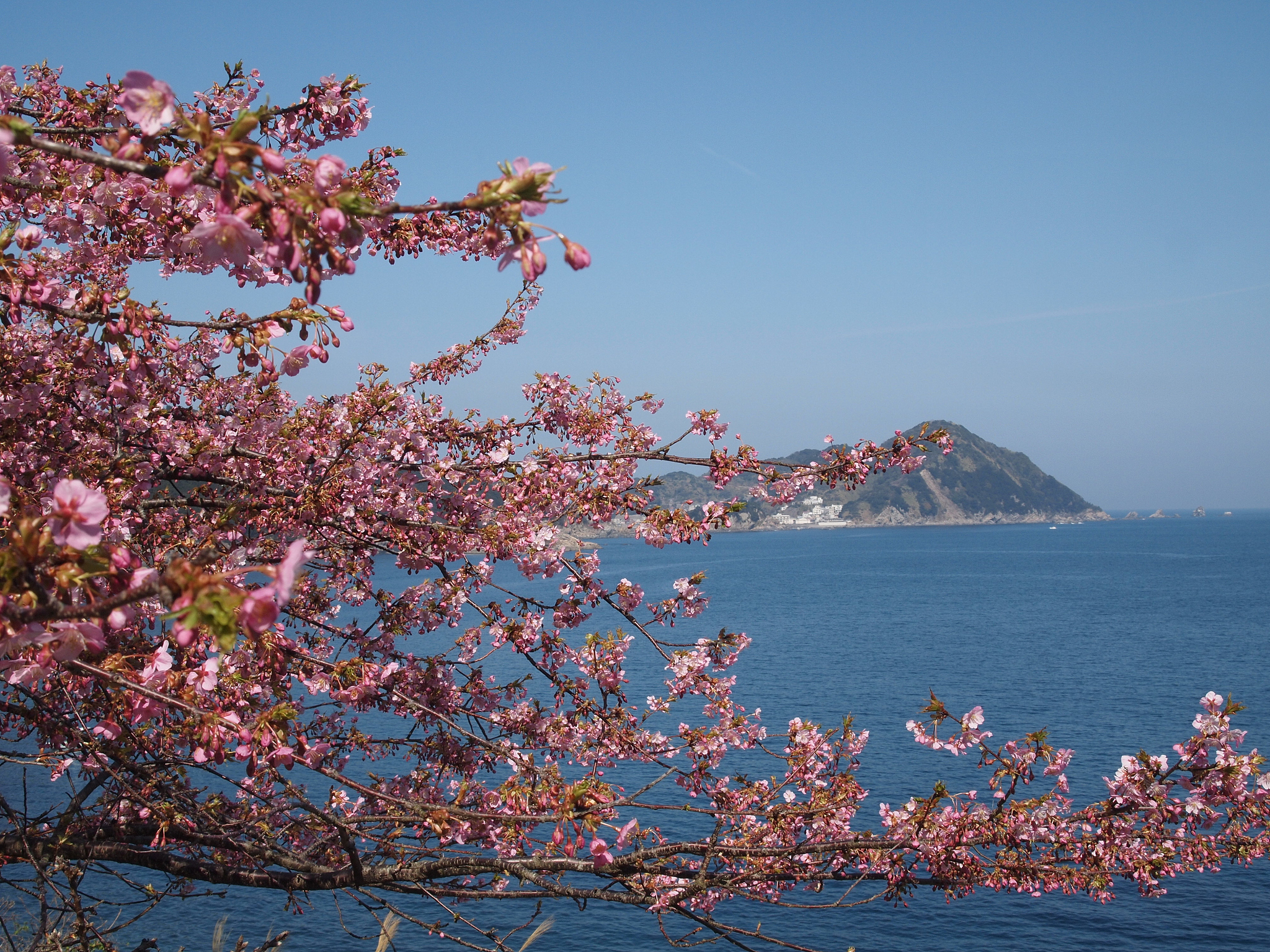 丹东桃花岛景点
