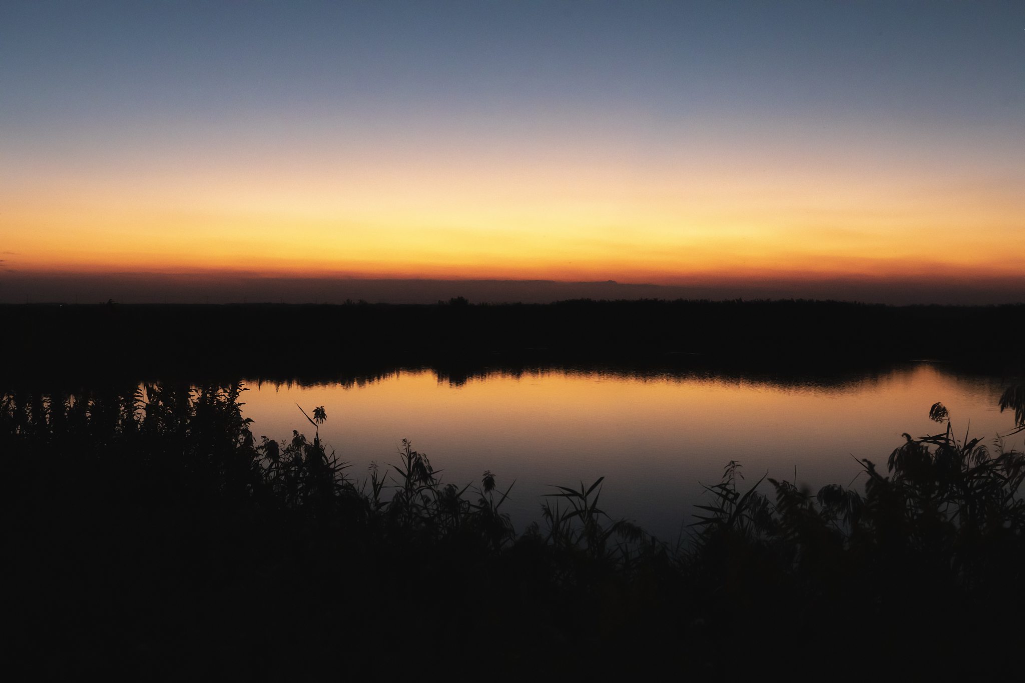 上海崇明东滩鸟类国家级自然保护区生态修复绩效评价与社会效益优化研究