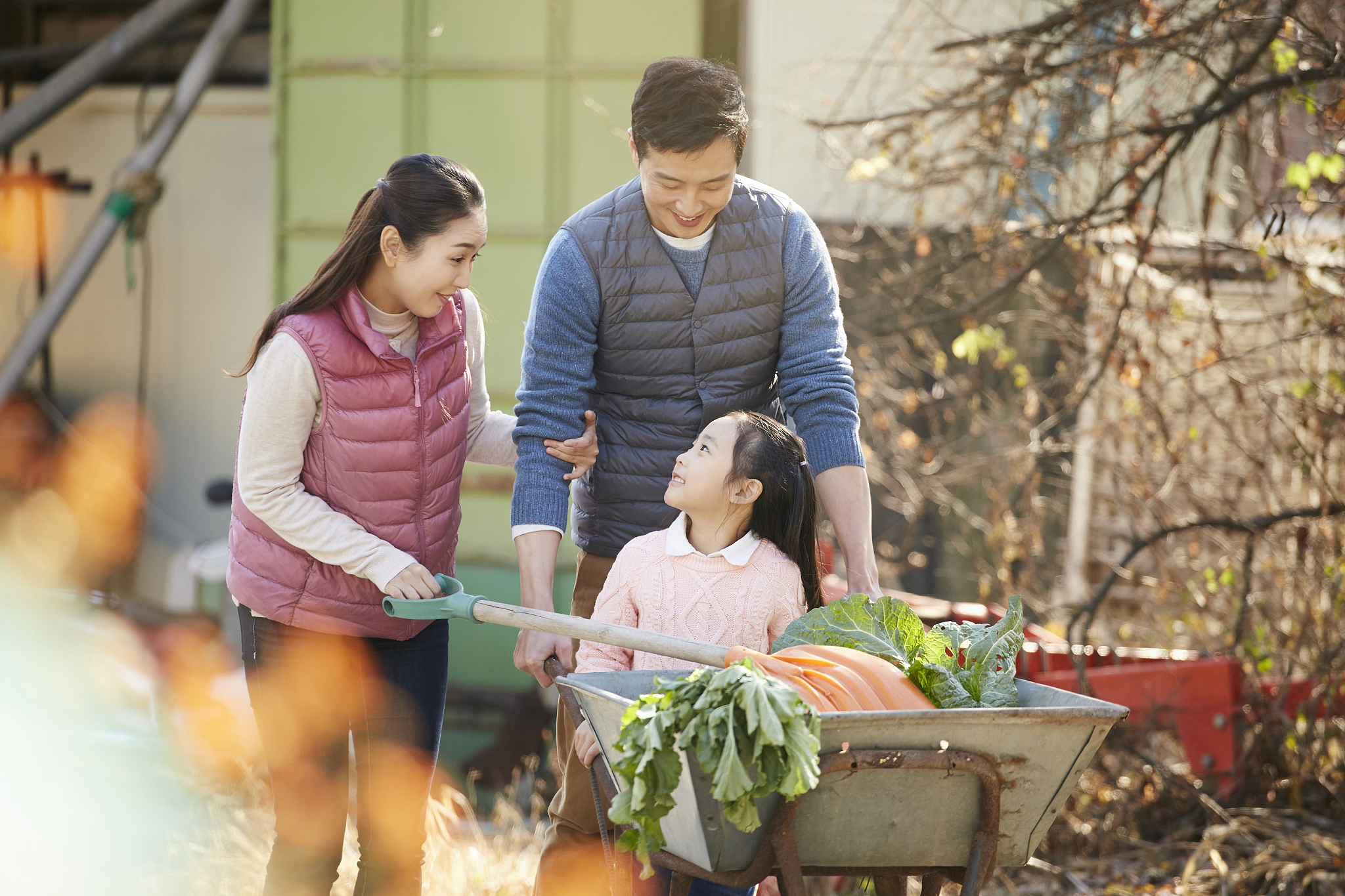云南省昭通农业学校招生要求