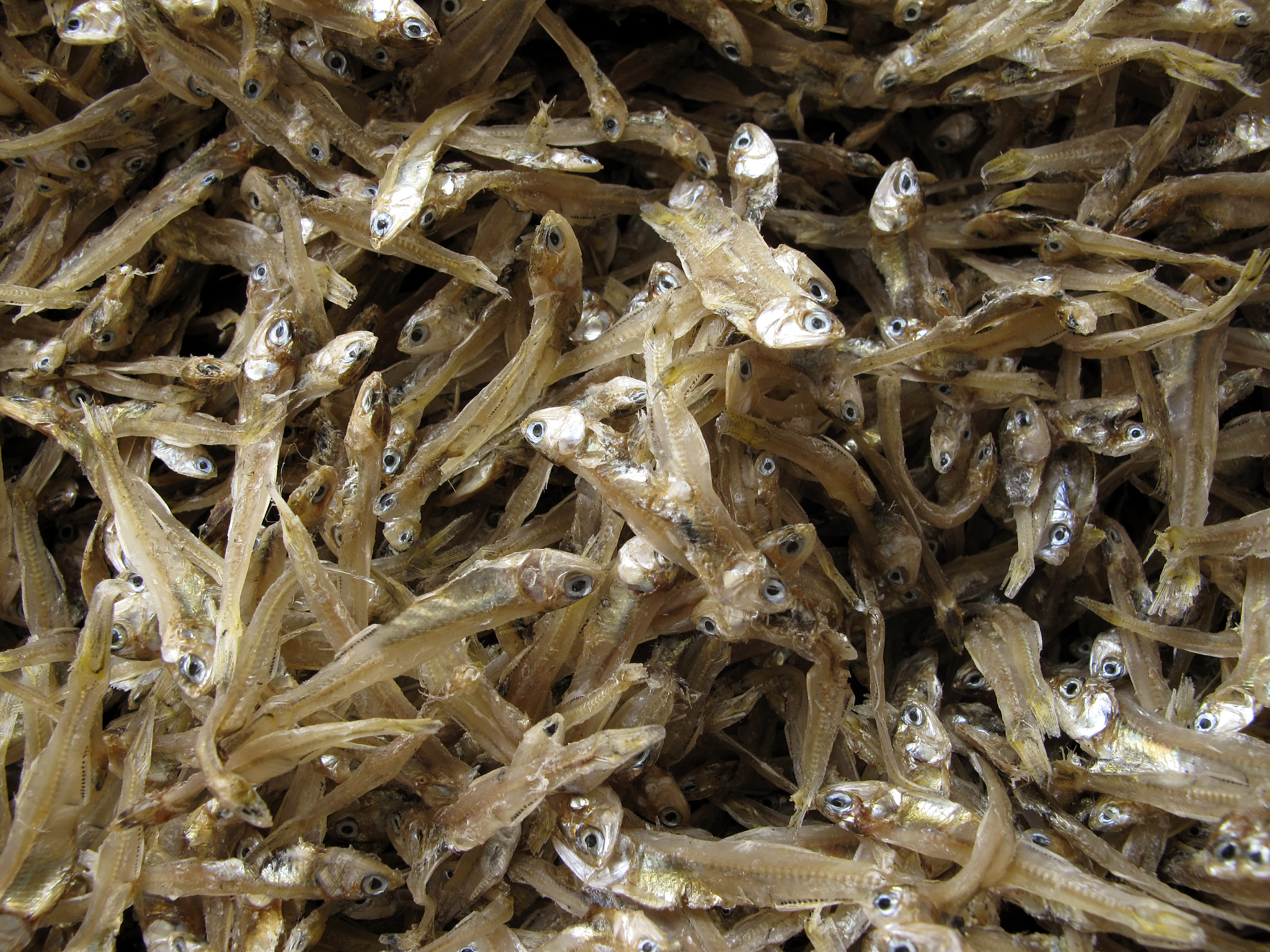 韶关乐昌淡水河鱼河虾干：纯天然无污染，鲜美滋味，尽享自然