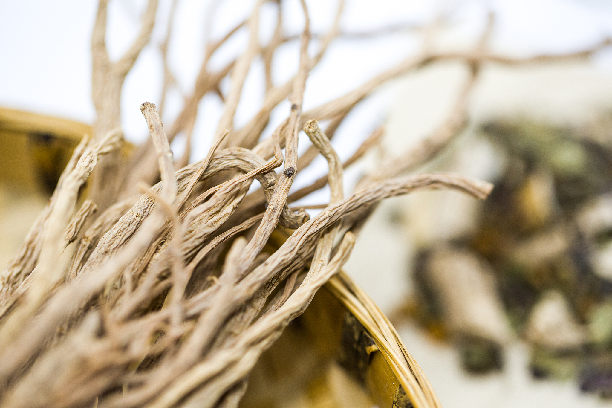 甘肃中医药大学初等教育（计算机方向）专业怎么样？