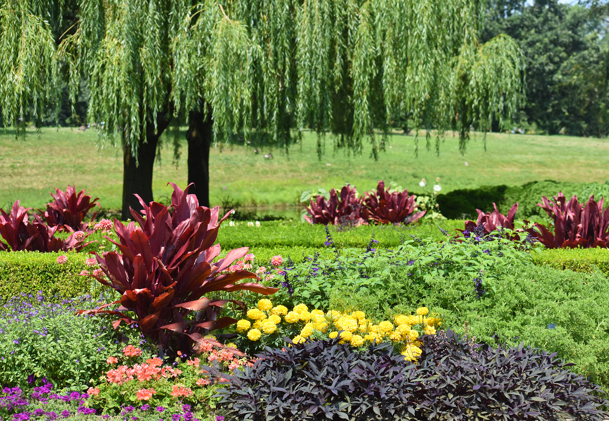 兰州植物园植物区系：丰富多样，景观迷人