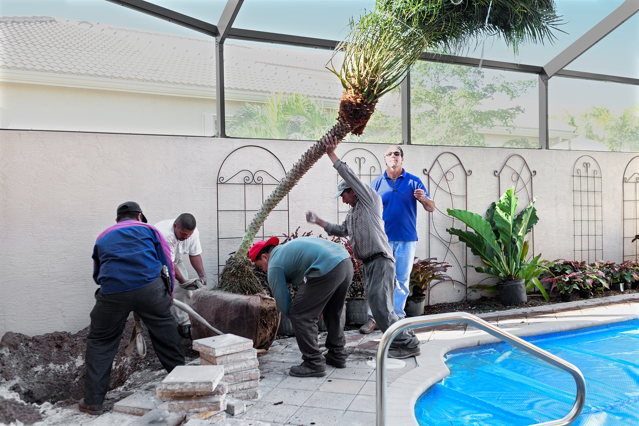 露台清洁问题处理通知：加强清洁频率，共建美好家园