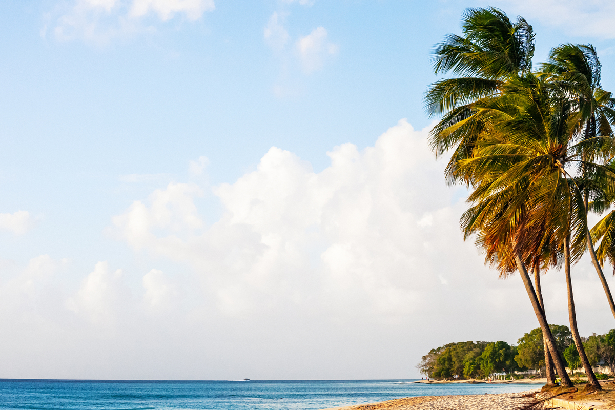 用三百字描写夏天