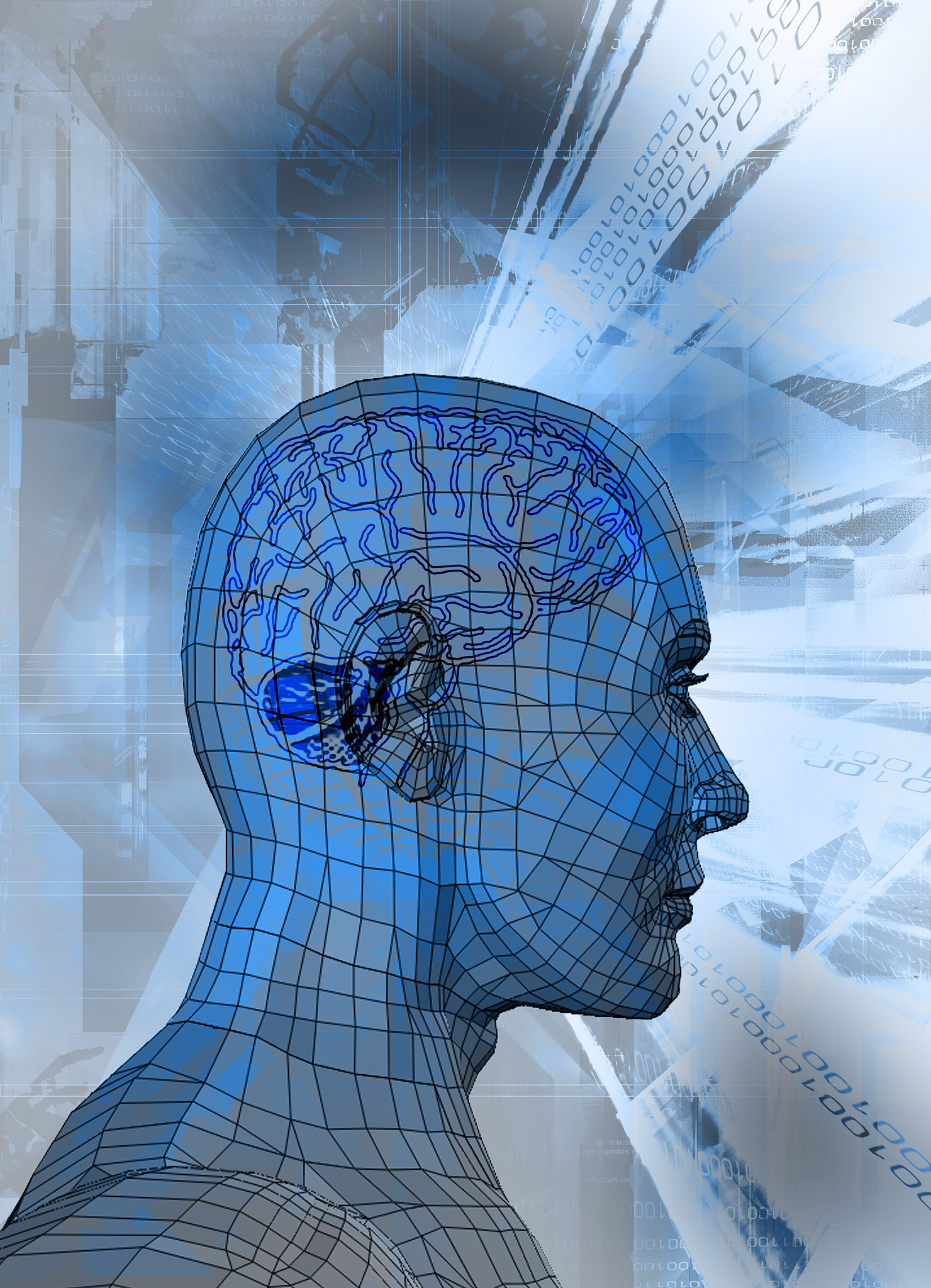 延安大学西安创新学院数学与应用数学专业培养目标