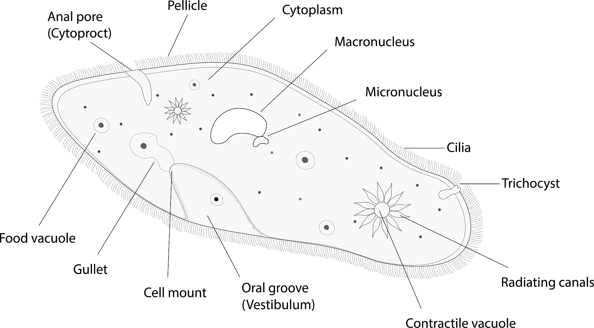 青海省西宁市第一职业学校办学规模怎么样