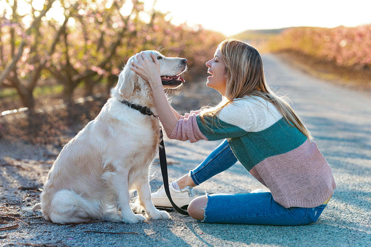与狗狗做朋友：我的动物伙伴
