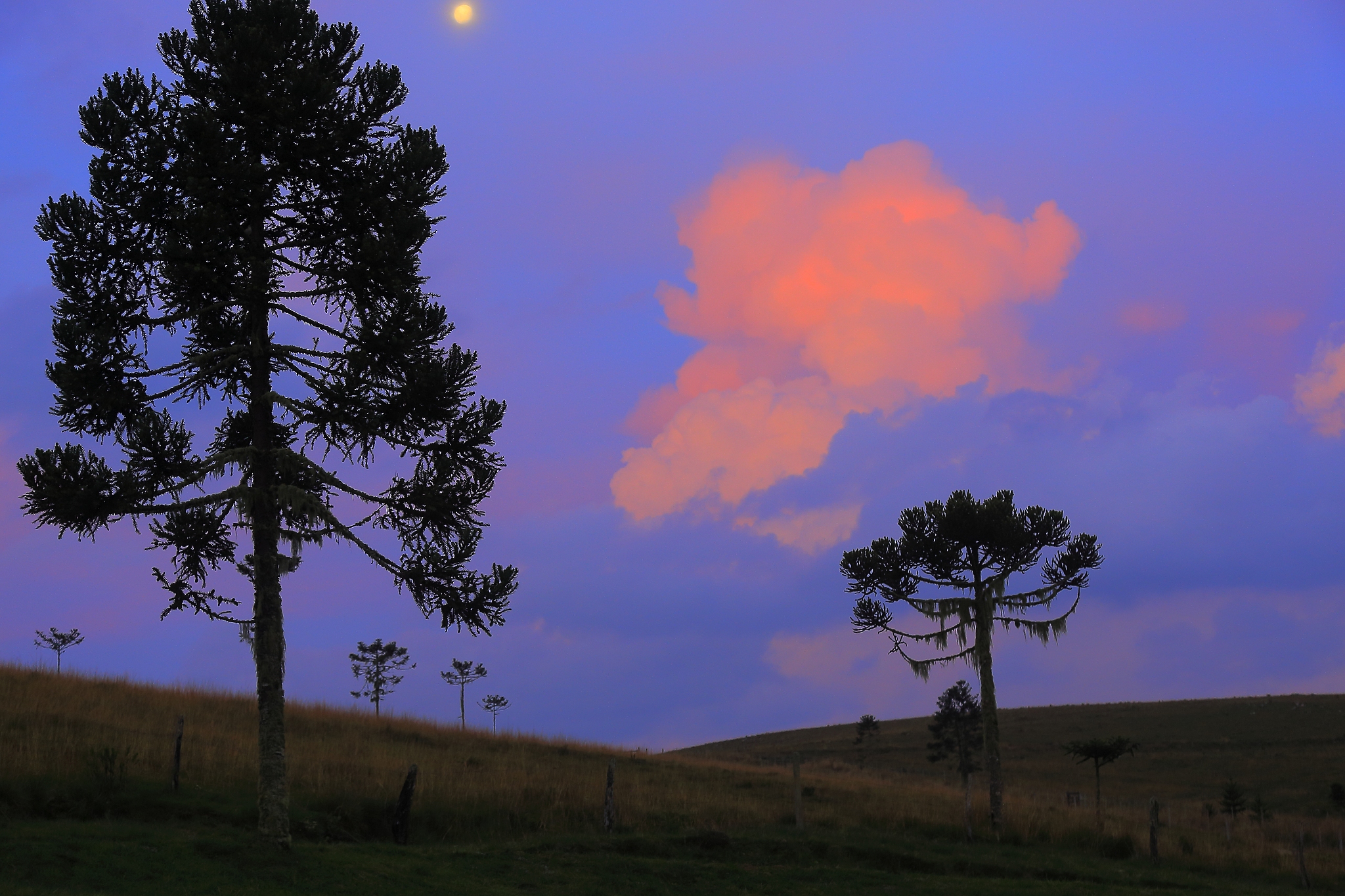 10 Sungai Terpanjang di Dunia: Daftar Lengkap dan Fakta Menarik