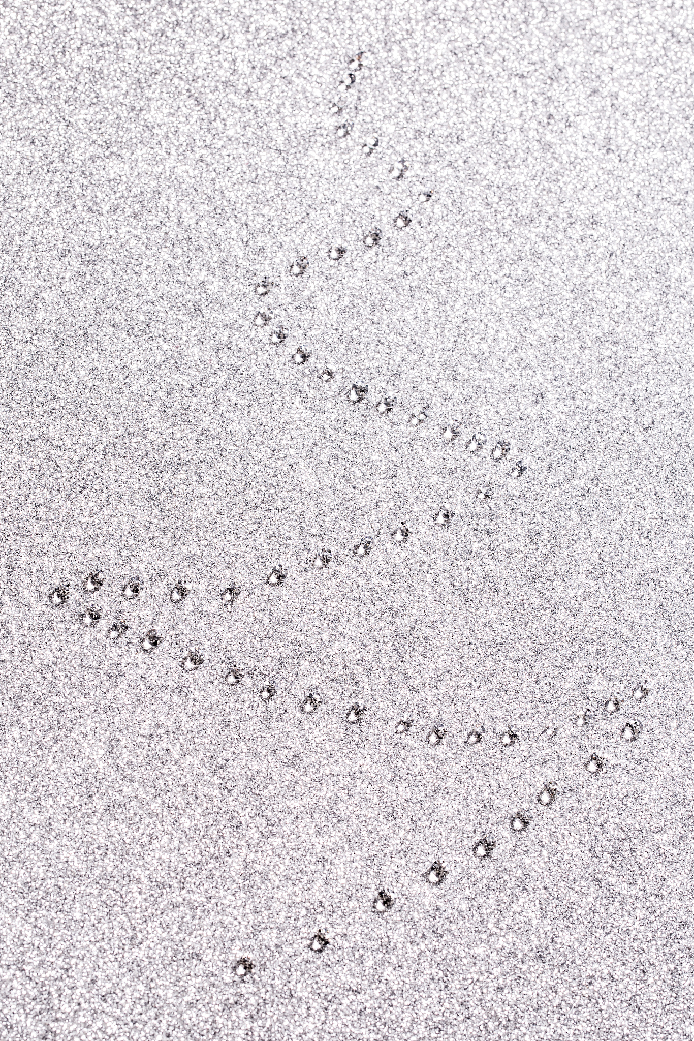 尿素对羟基磷灰石制备的影响：XRD和SENM形貌分析