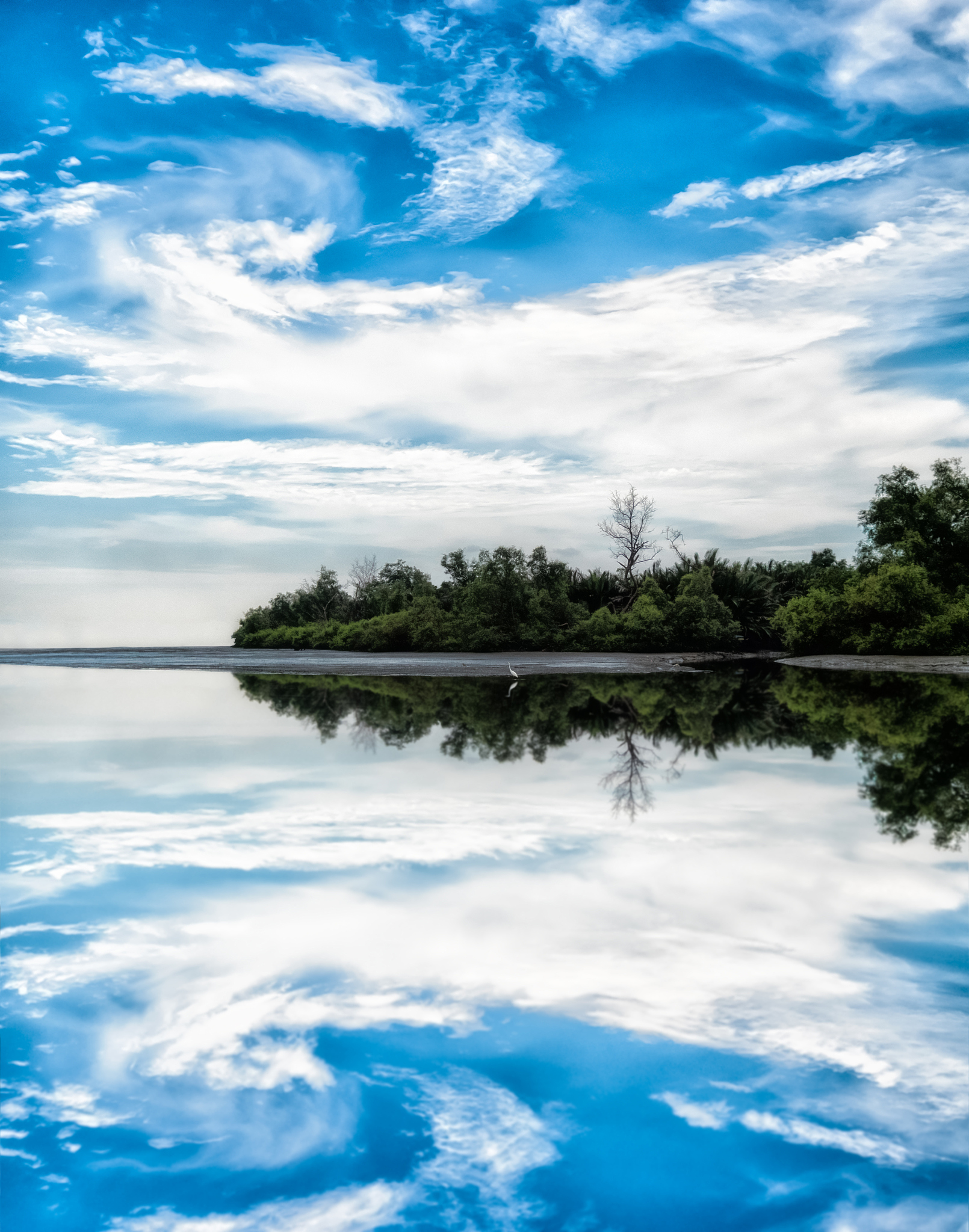 我需要一些壁纸