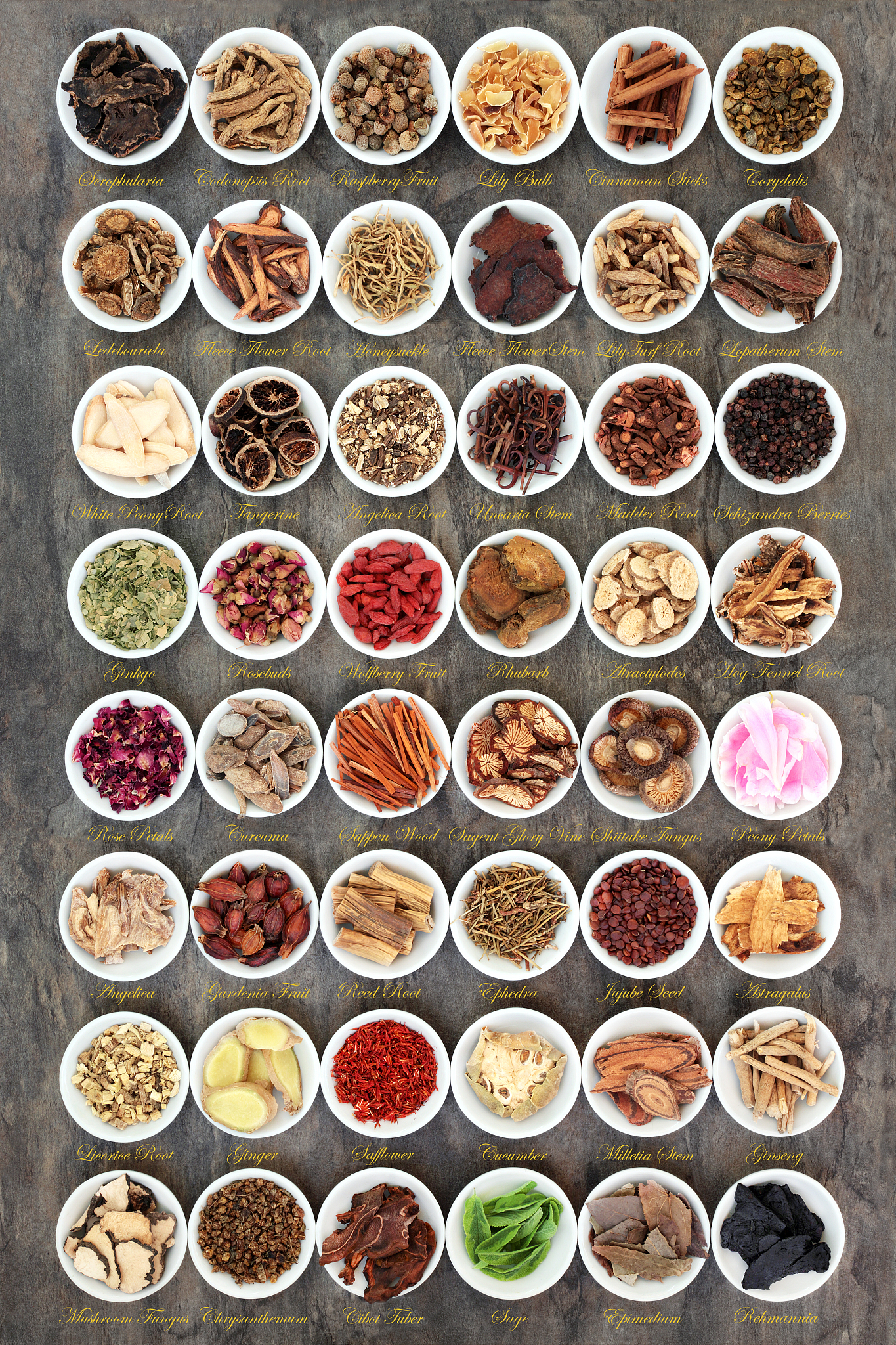 国珍牌松花参宝片可以治疗贫血吗？