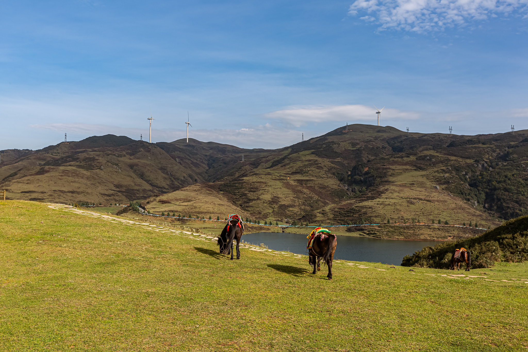 贵州航空专业学校招生对象及条件 - 报考指南