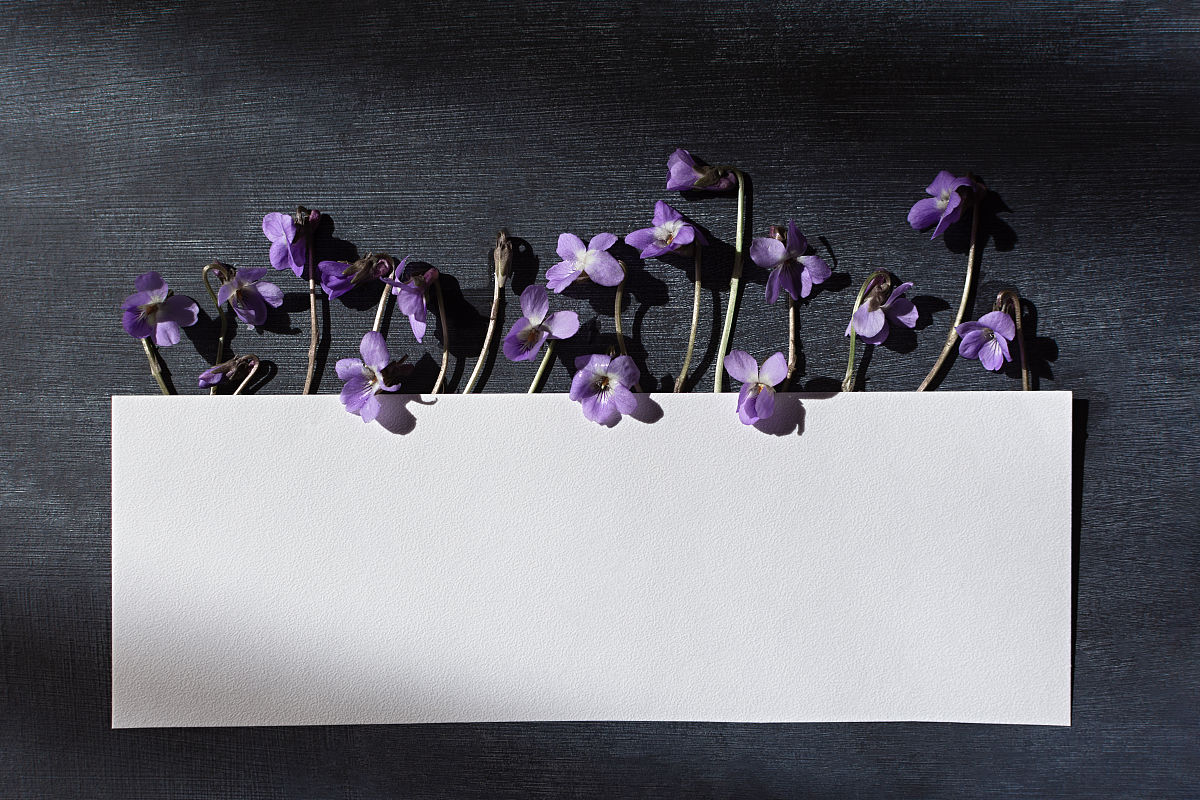 怎么才能轻松写好作文