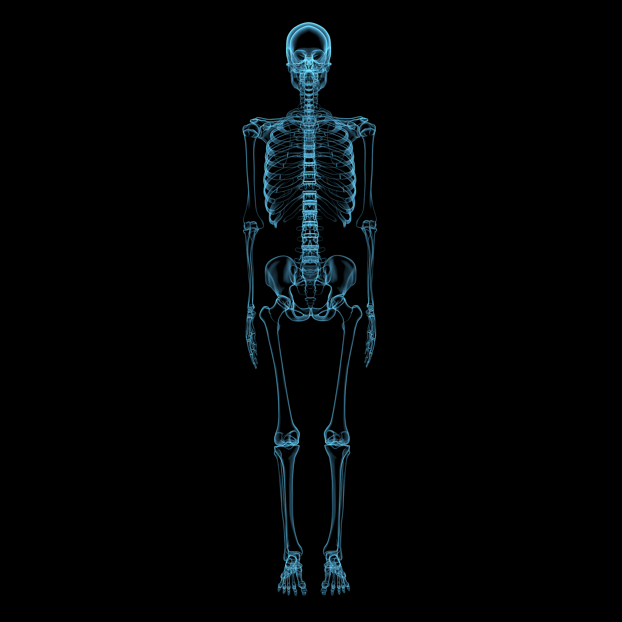 人体骨骼数据转换工具：human-skeleton-translation