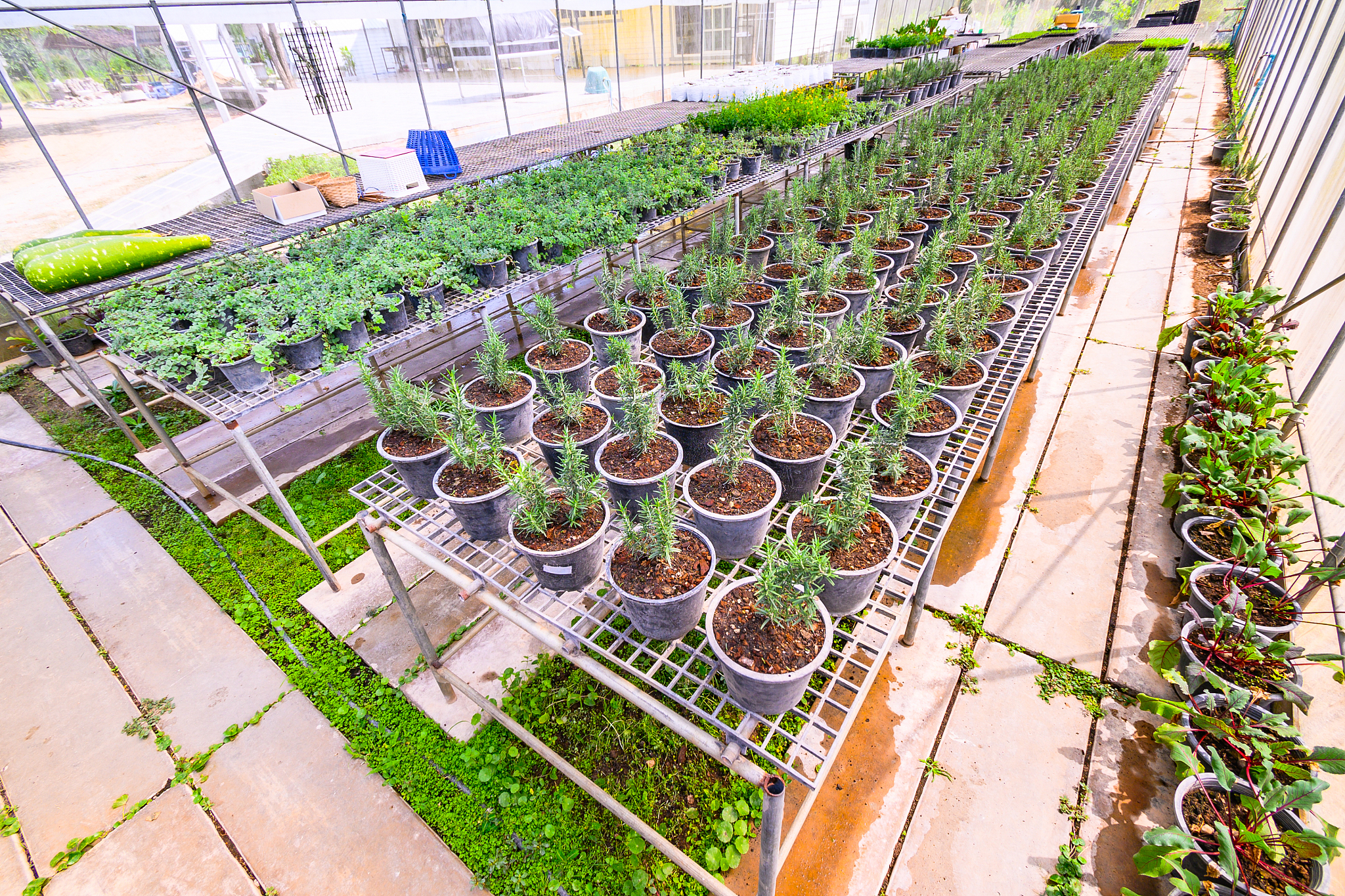 辽宁职业学院园艺技术专业怎么样