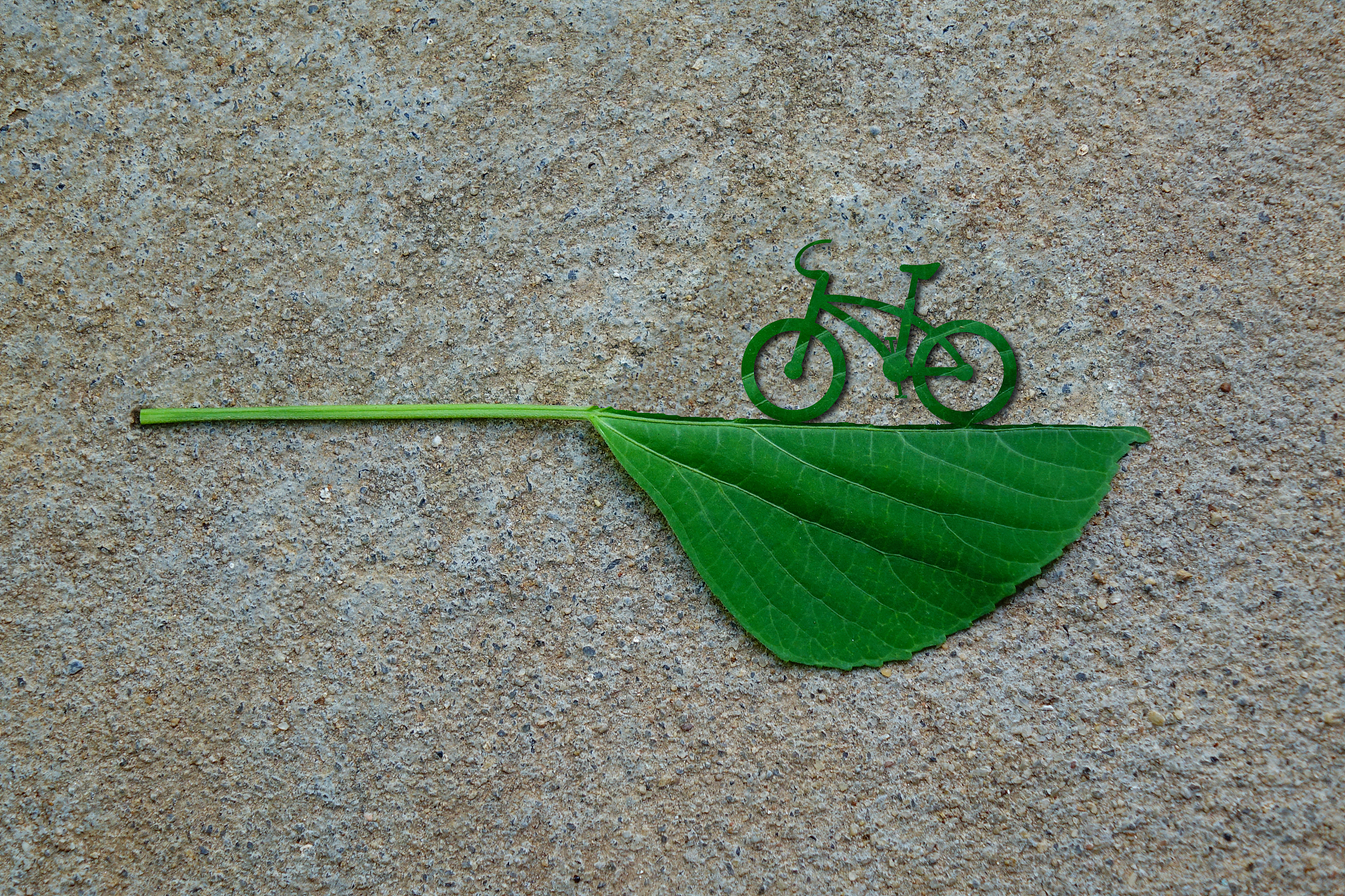 Journal of Geosciences: 地球科学研究者的首选期刊