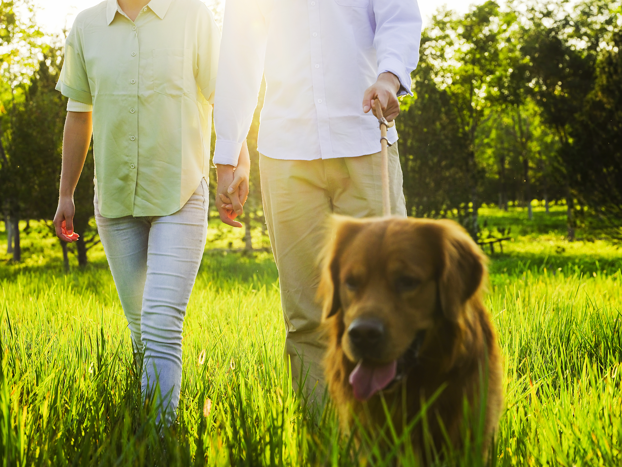 朋友：I just got back walking missy n Molly around my complex we have lots of walking paths here at condo the girls loveThey are poopped我该如何回答？