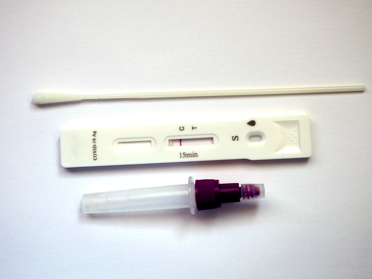 设计一款科研论文的海报内容是借助挖掘到的一个碳水化合物结合蛋白首次实现了对透明质酸的胶体金试纸条检测要求：使用适当的图表、图像和图示来支持研究结果