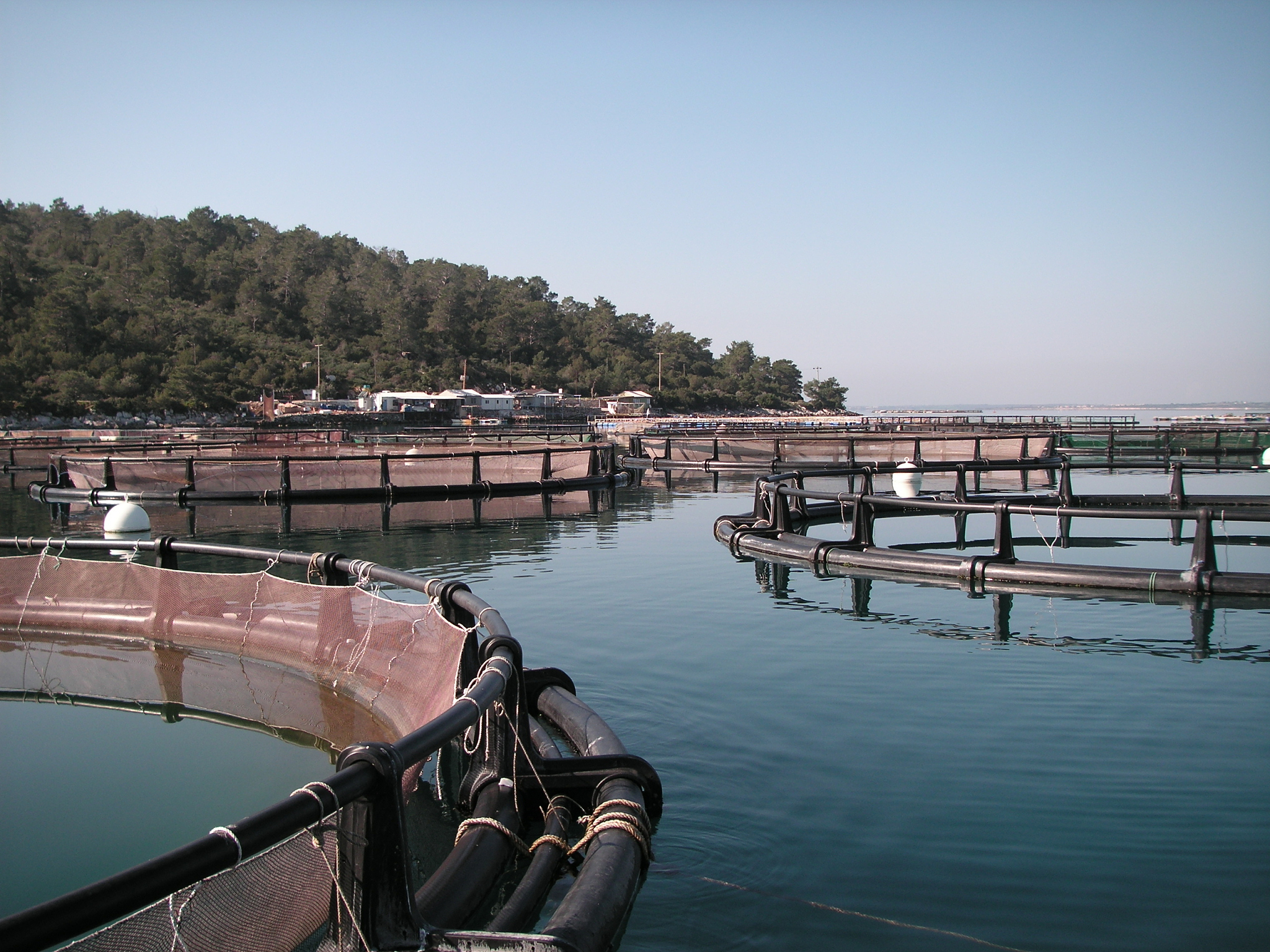 福建海洋文化科技共享农庄推荐：探索海洋与农业的融合
