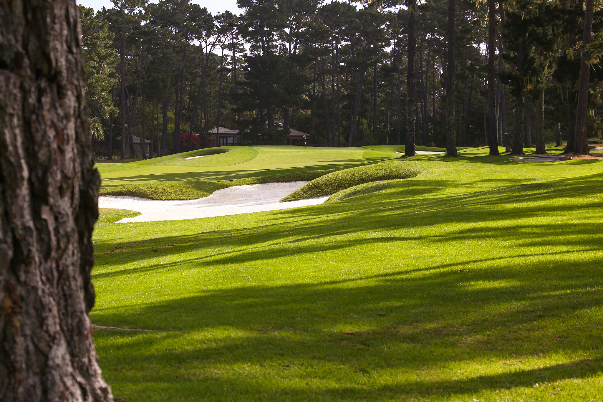 斯堪的纳维亚半岛的绿化工作当然面临着挑战今年 3 月的平均气温为 3 摄氏度这使得草坪变得非常困难它要么是湿冰冻的要么是下雪的但我们会尽我们所能因为我们今天可以在另一场洪水之前进入果岭明天