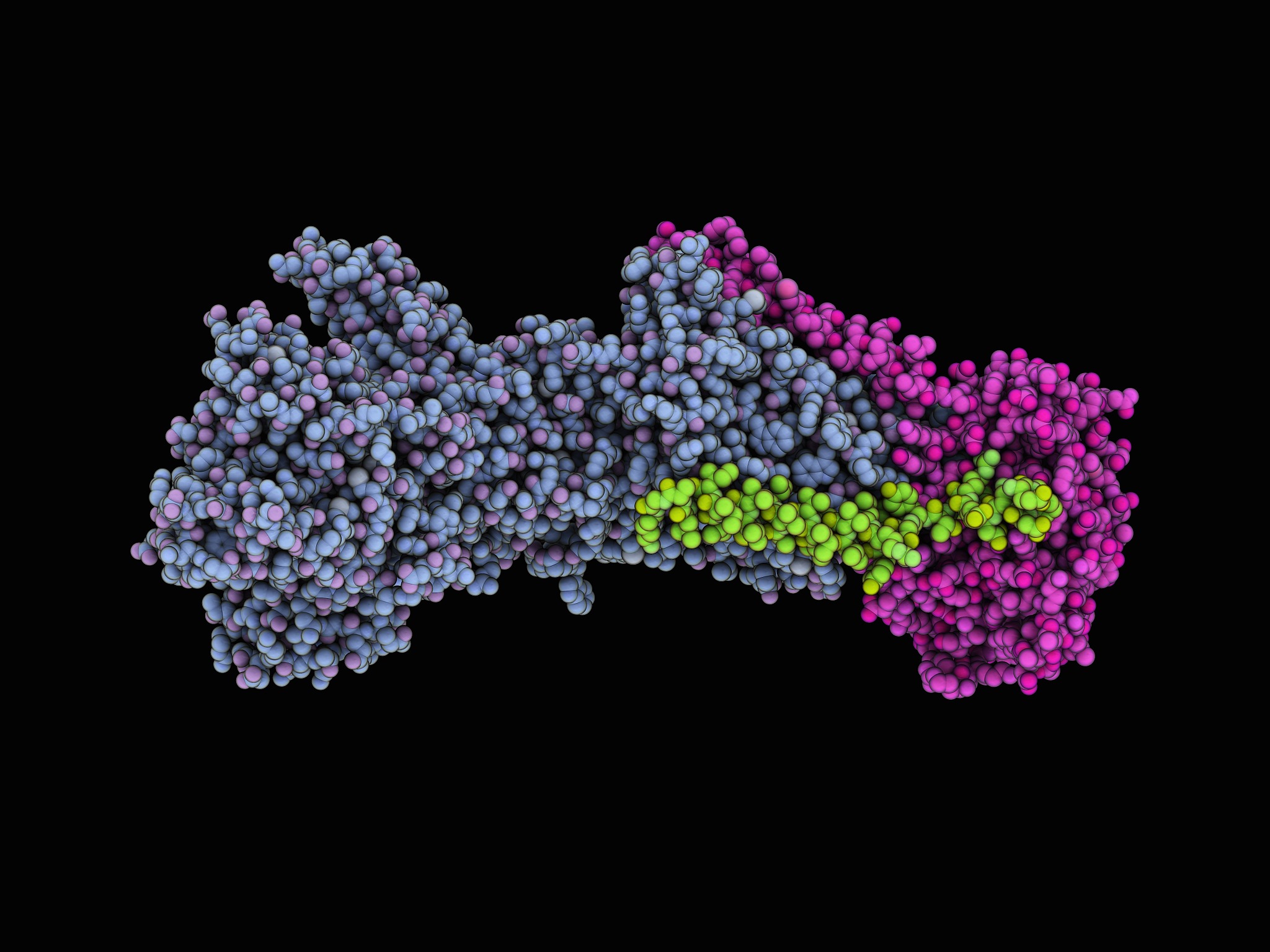 人体体液中含量最高的阳离子是什么？