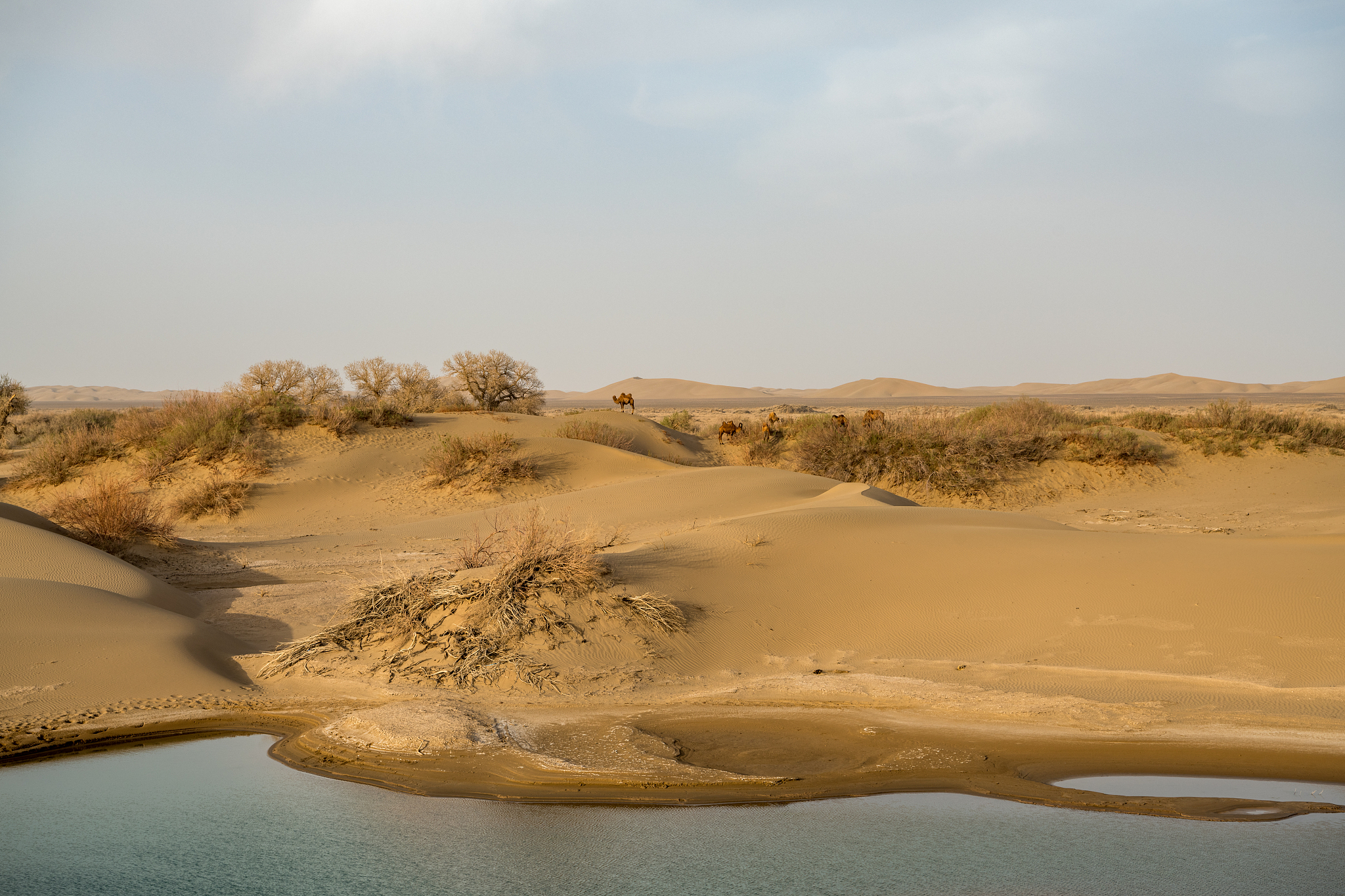 塔克拉玛干沙漠拼音怎么读