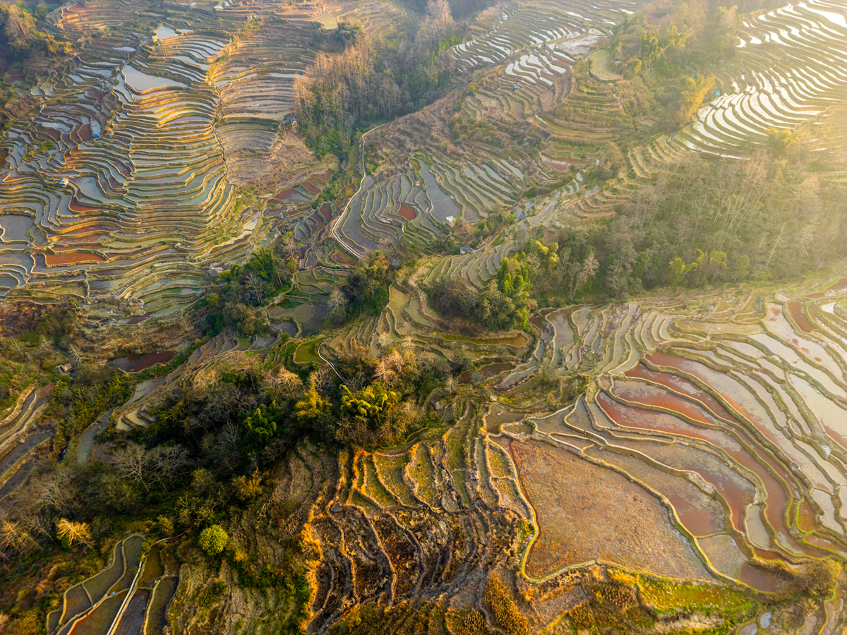 去云南摄影写生了。这组摄影作品记录了我在云南旅行期间所见所闻沉浸于令人陶醉的自然风光中与大自然亲密接触的美妙时刻。我探索了红土地、梯田和山村生活等捕捉到了大自然的静谧与生机以及昆虫动物们与这片土地的和谐共生。这些作品旨在通过镜头让观者感受到云南大地的独特魅力。请写一篇摄影作品阐述。