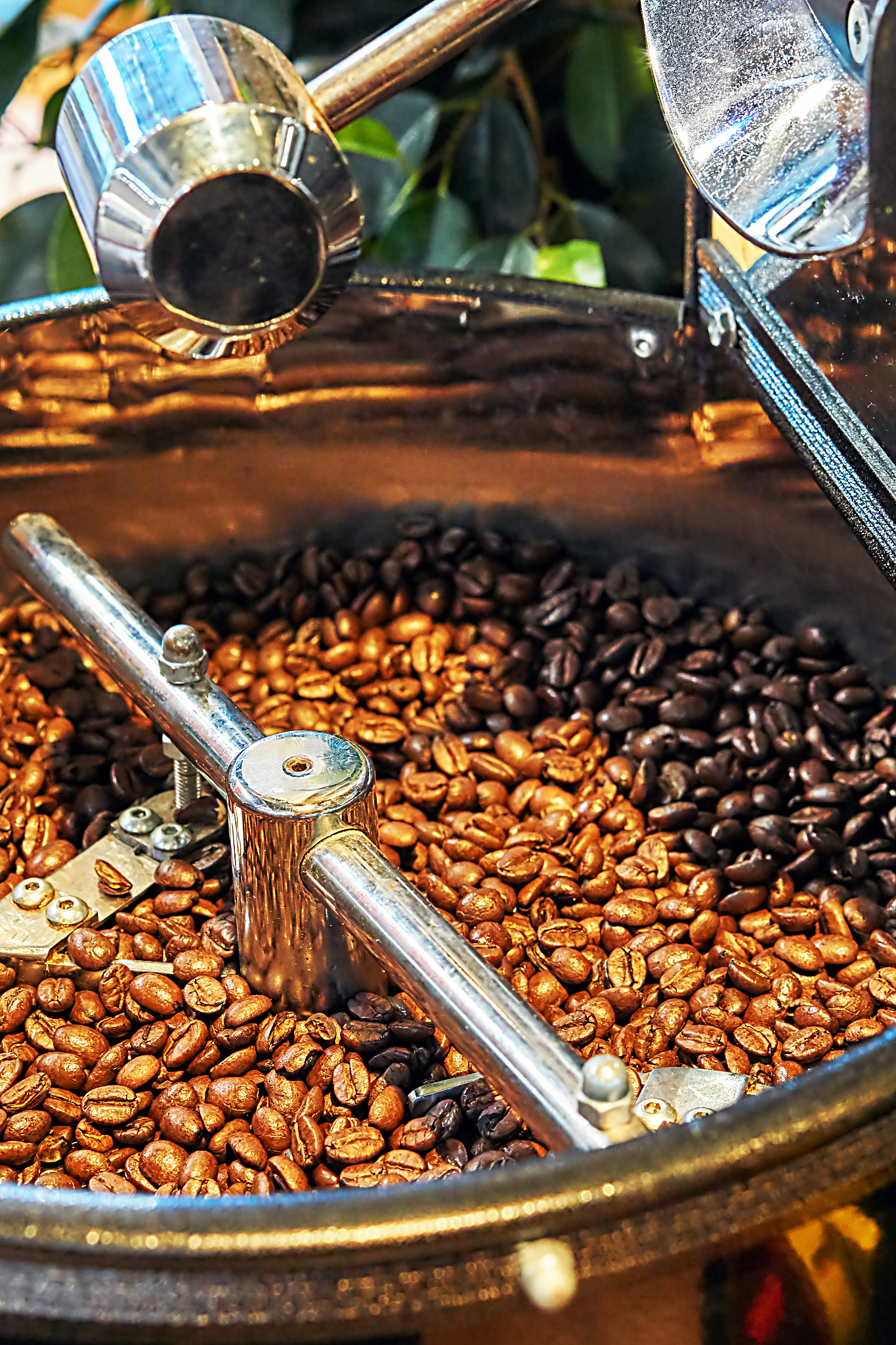 写一篇咖啡发展创新 5分钟时间