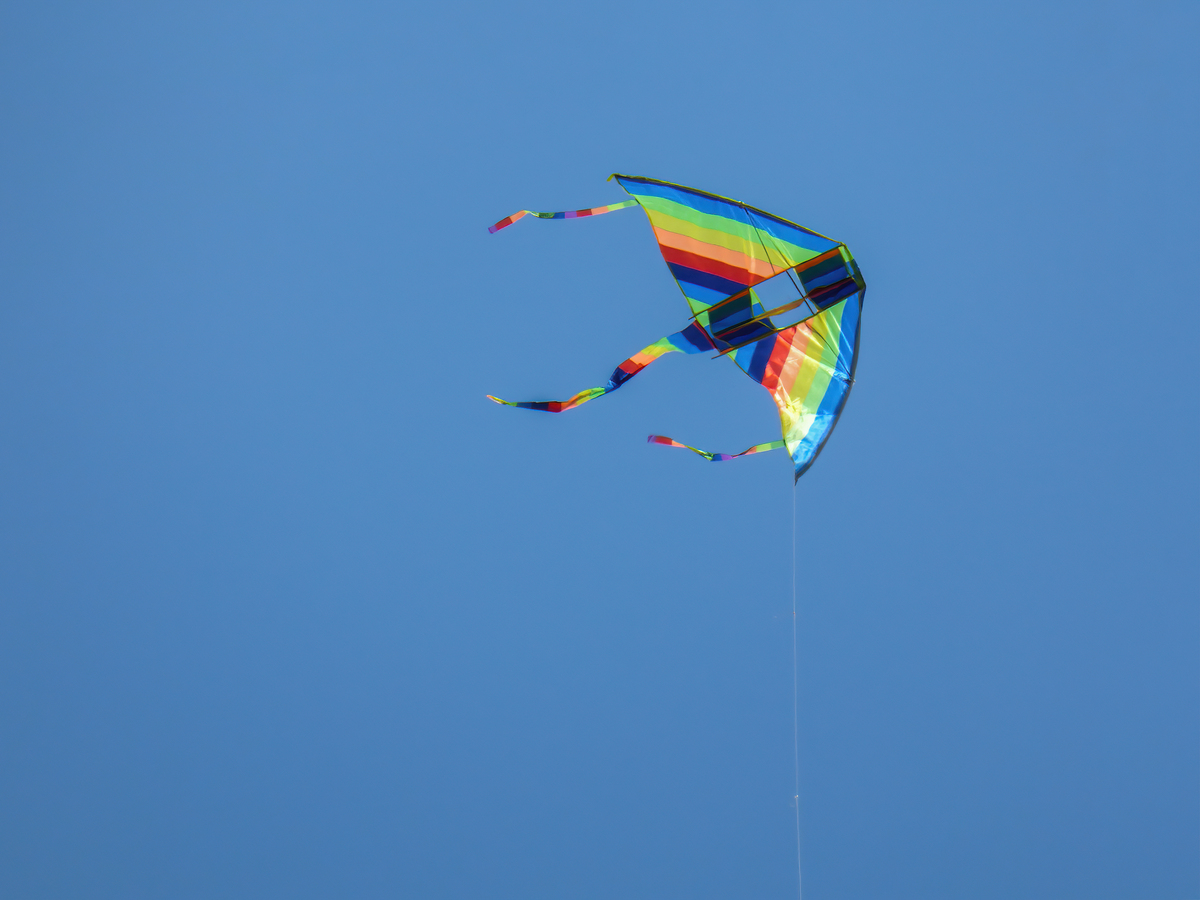 潍坊风筝节：探寻风筝起源与发展