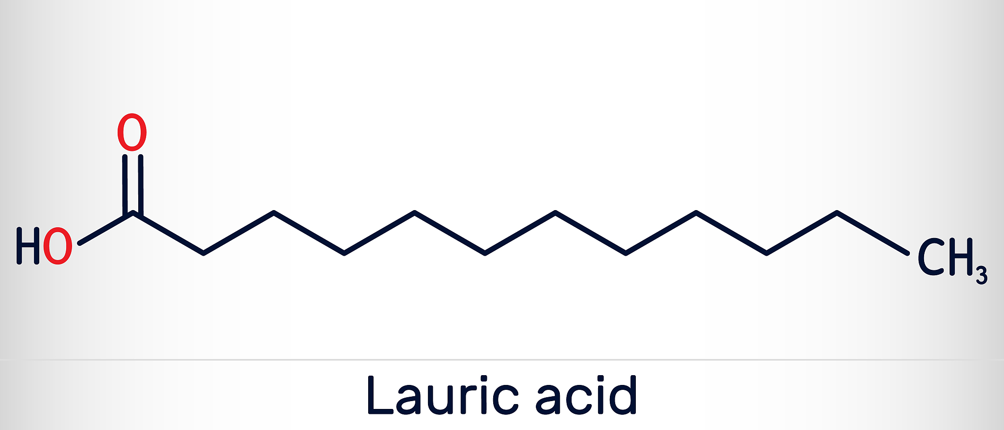 脂肪分解的原理