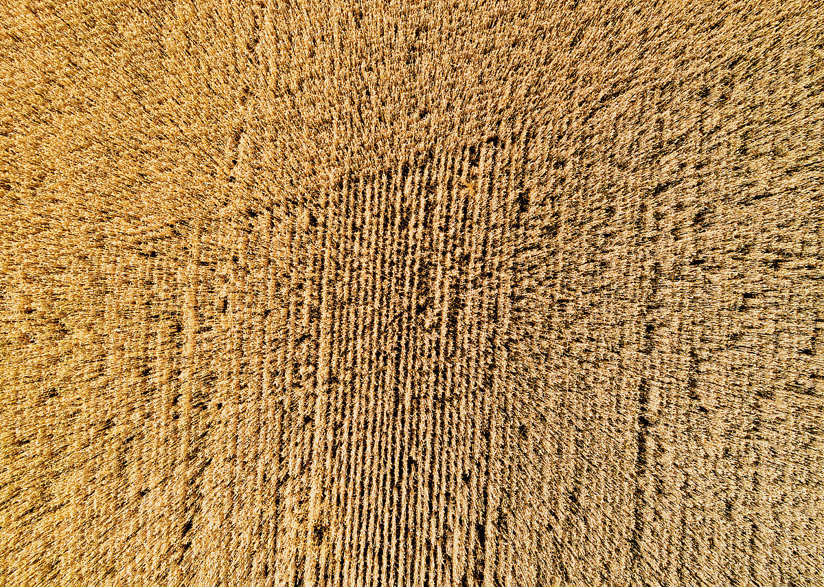 解决温饱问题的时间，