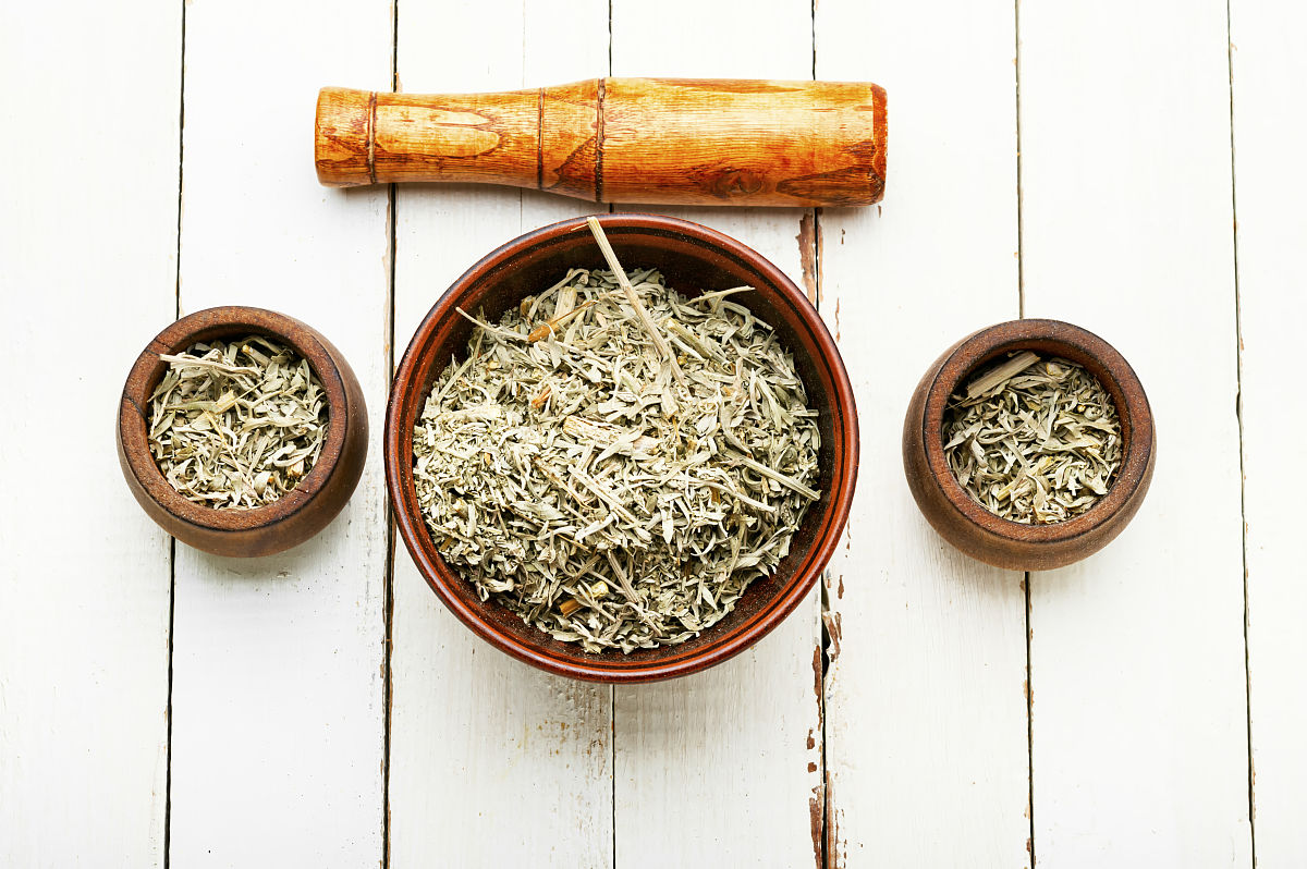 艾草企业品牌理念：天然健康、品质至上、创新领先、服务至上