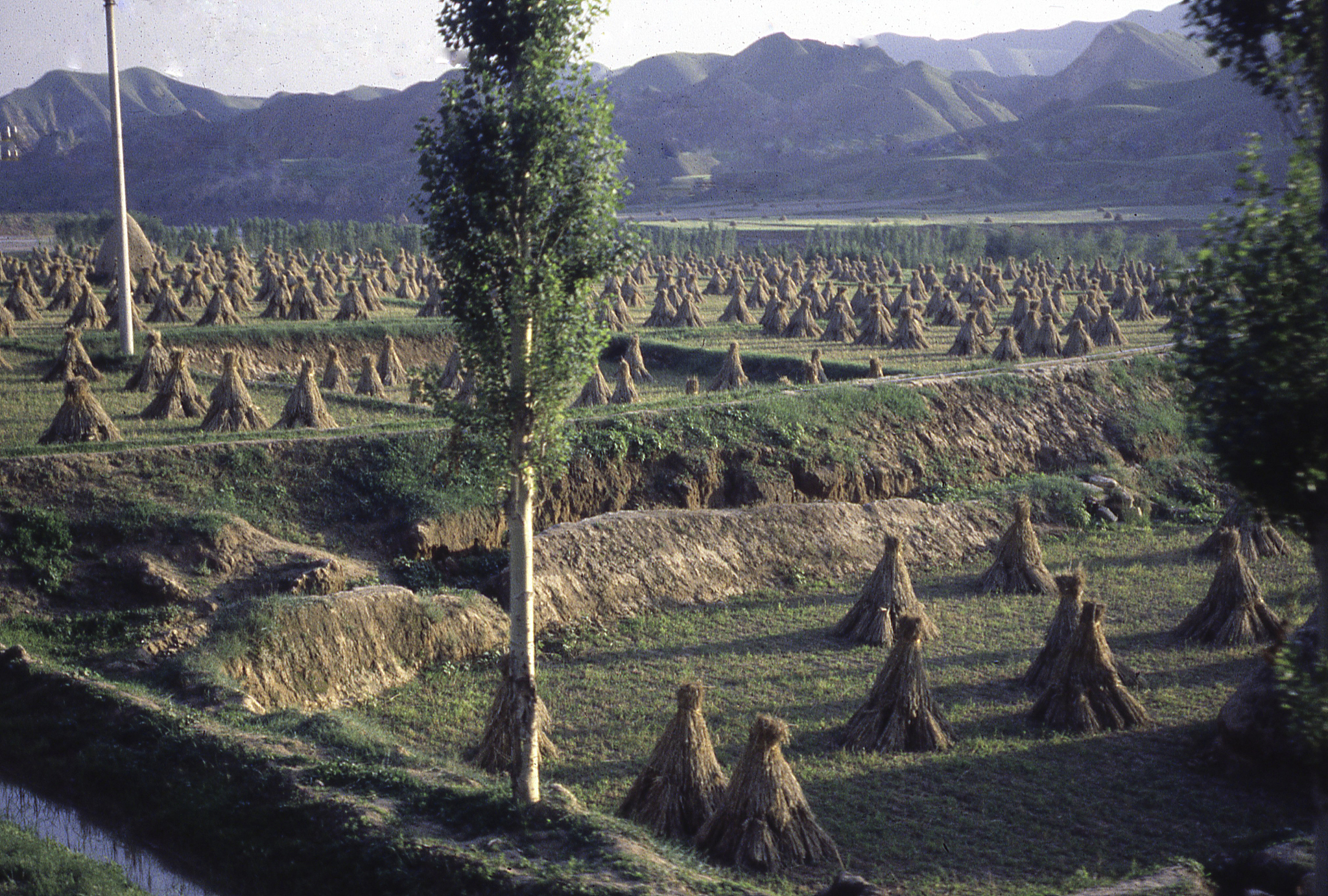 甘肃现代农艺专业中专中职学校有哪些？2022年招生信息
