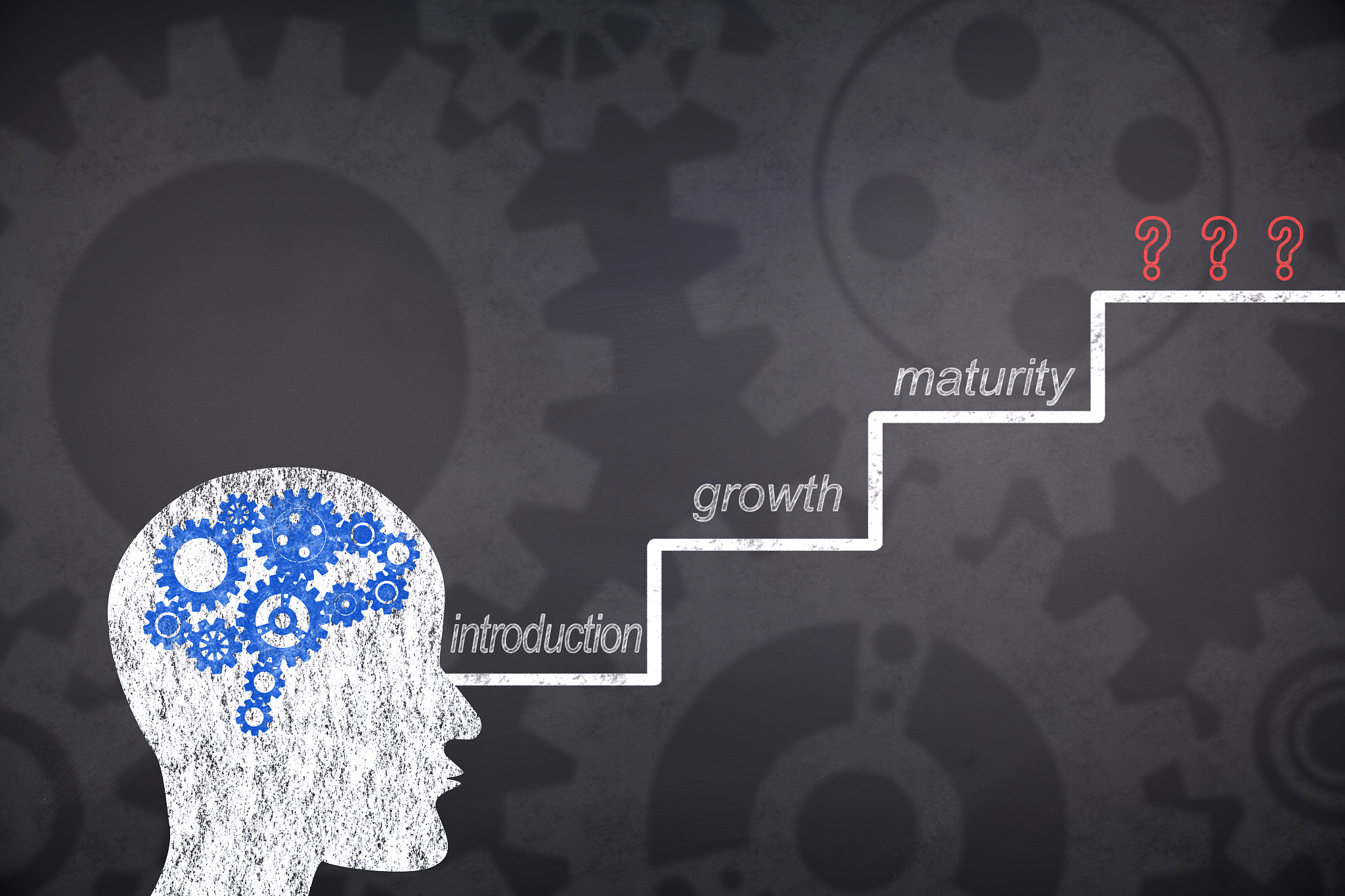 product life cycle