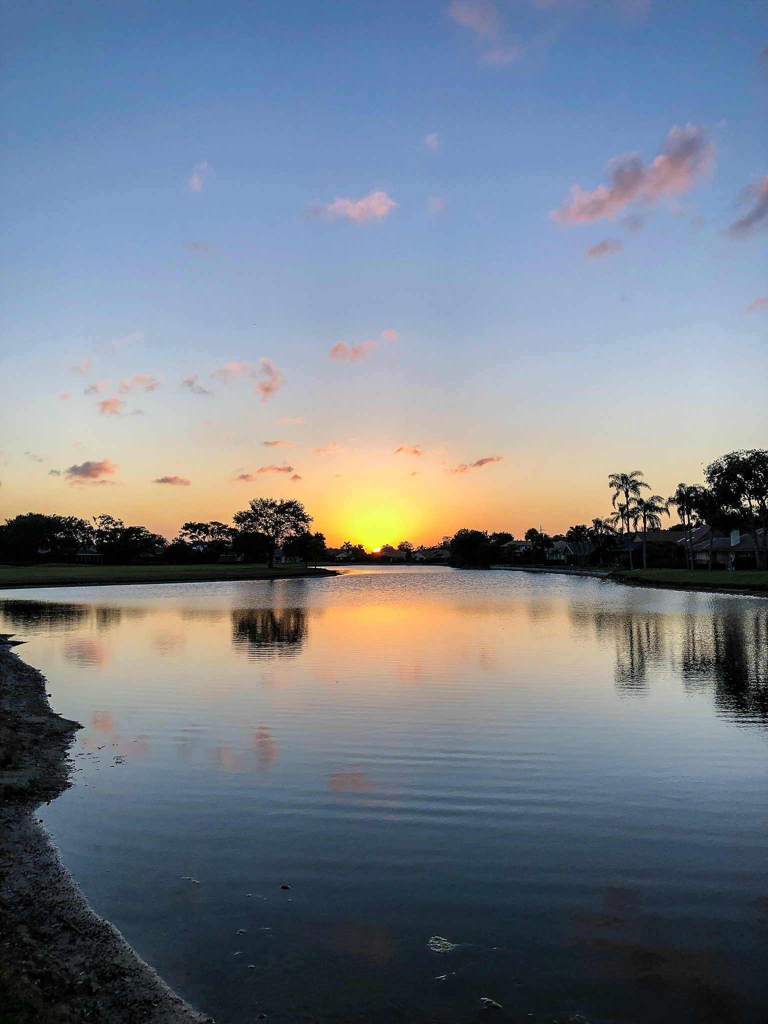 写一篇天气好日记