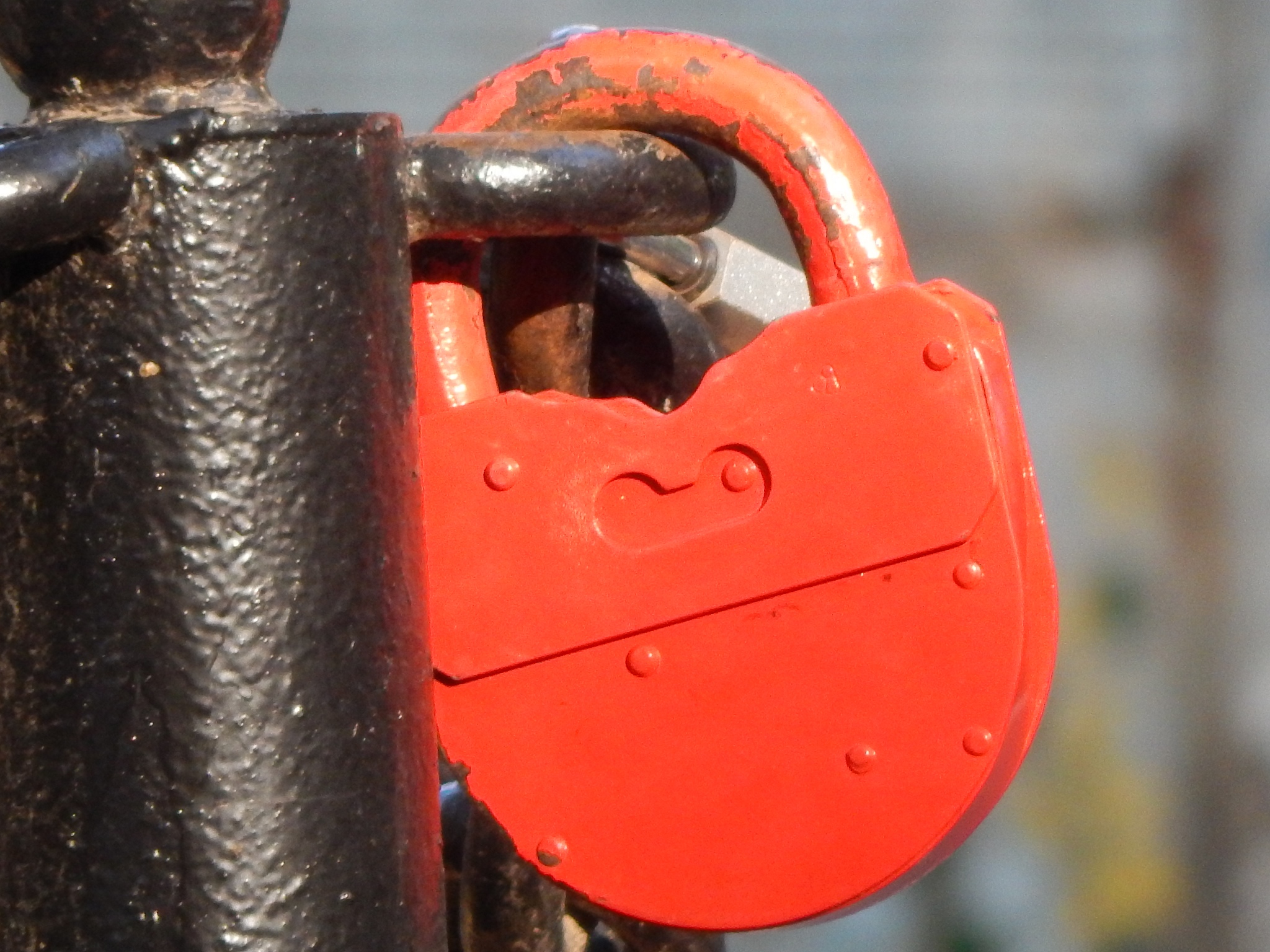 翻译
Whip checks must be installed at bull hose connections.