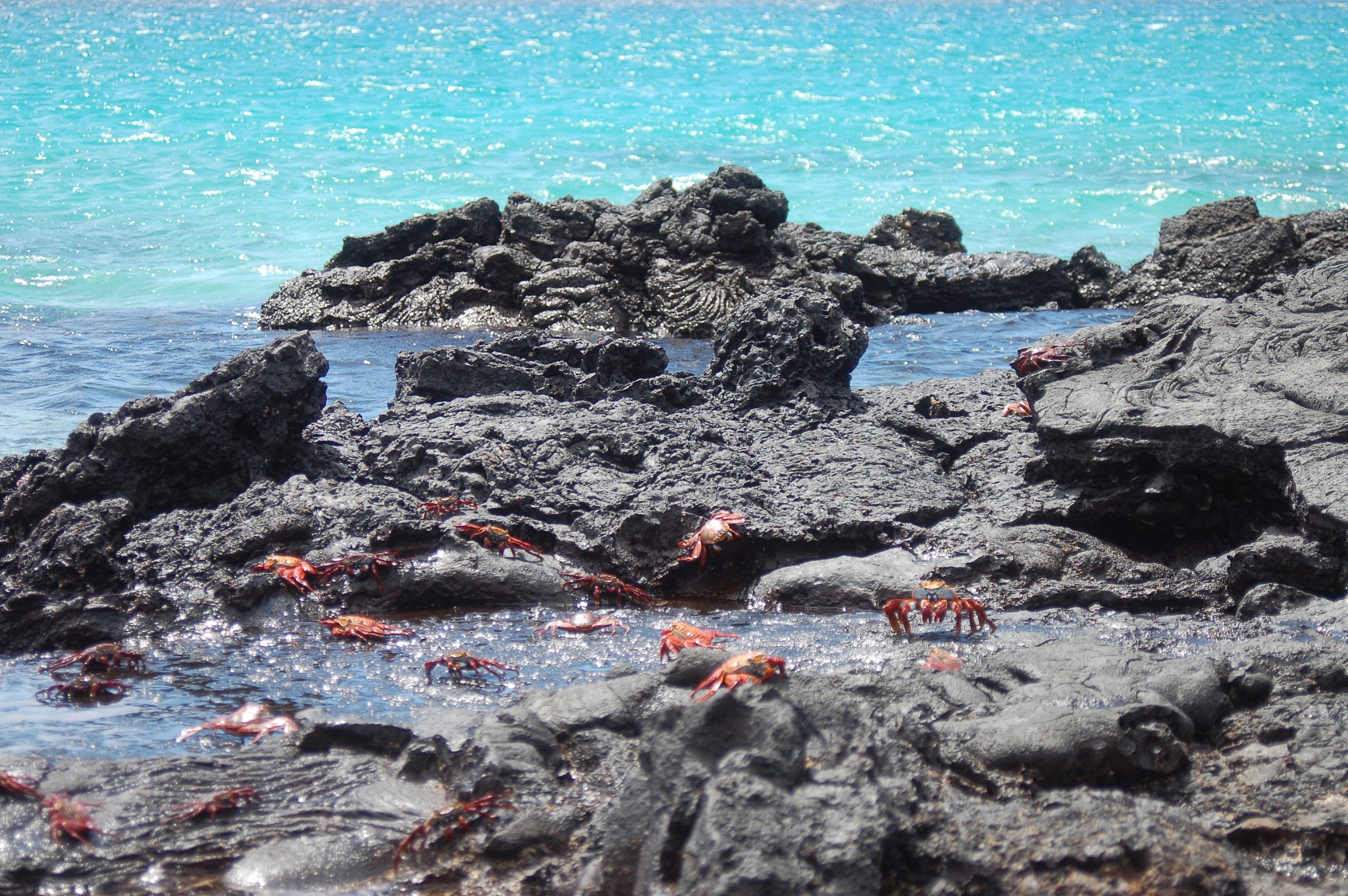 bartolomé island in the galápagos islands