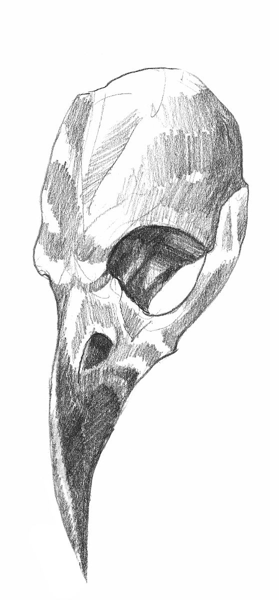 中国美术学院附属中等美术学校素描专业怎么样