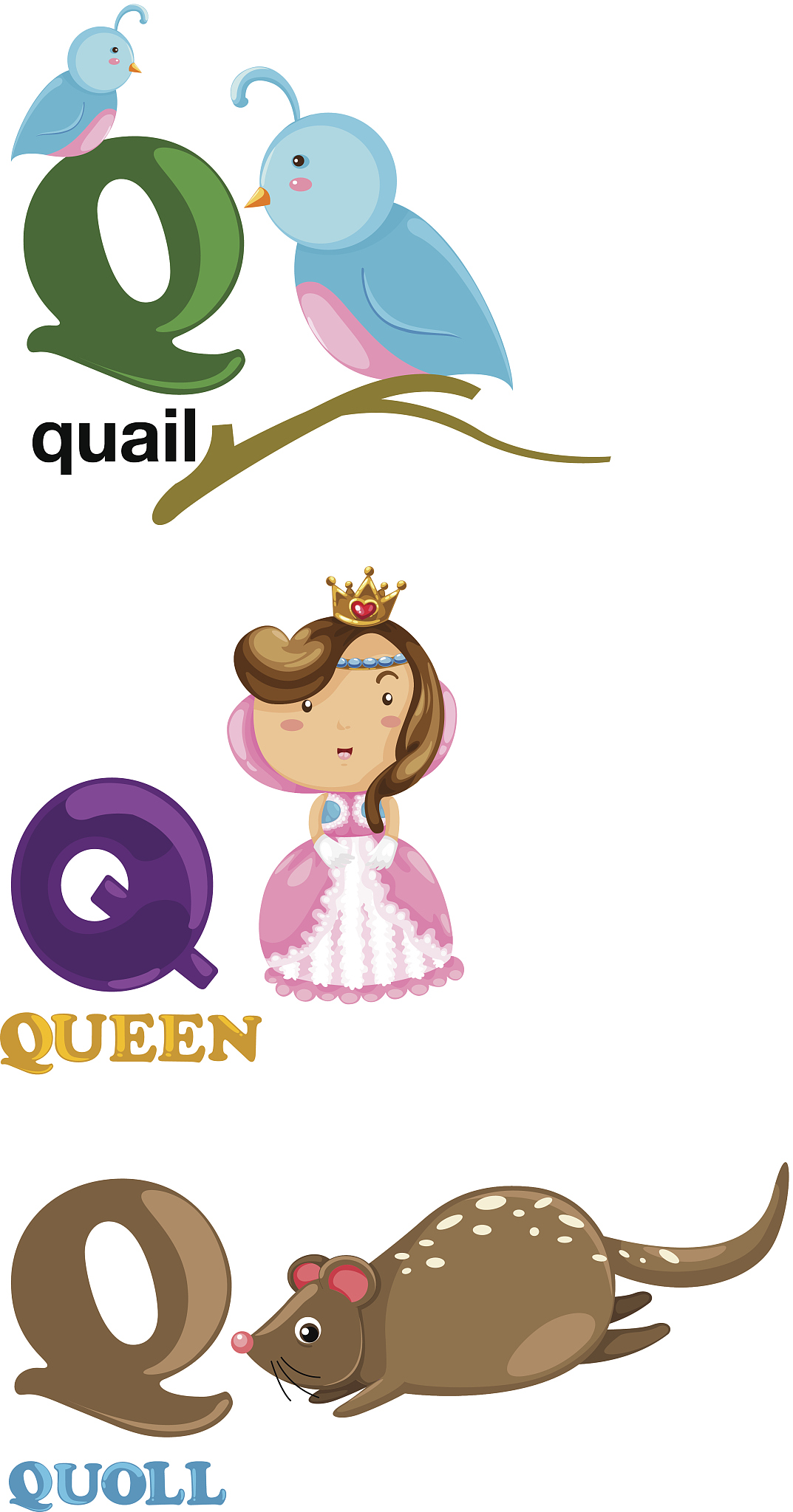 英文字母<strong>q</strong>,字母,鹌鹑,洗礼盘,老鼠,比例,美术工艺,字母表次序,幼儿园