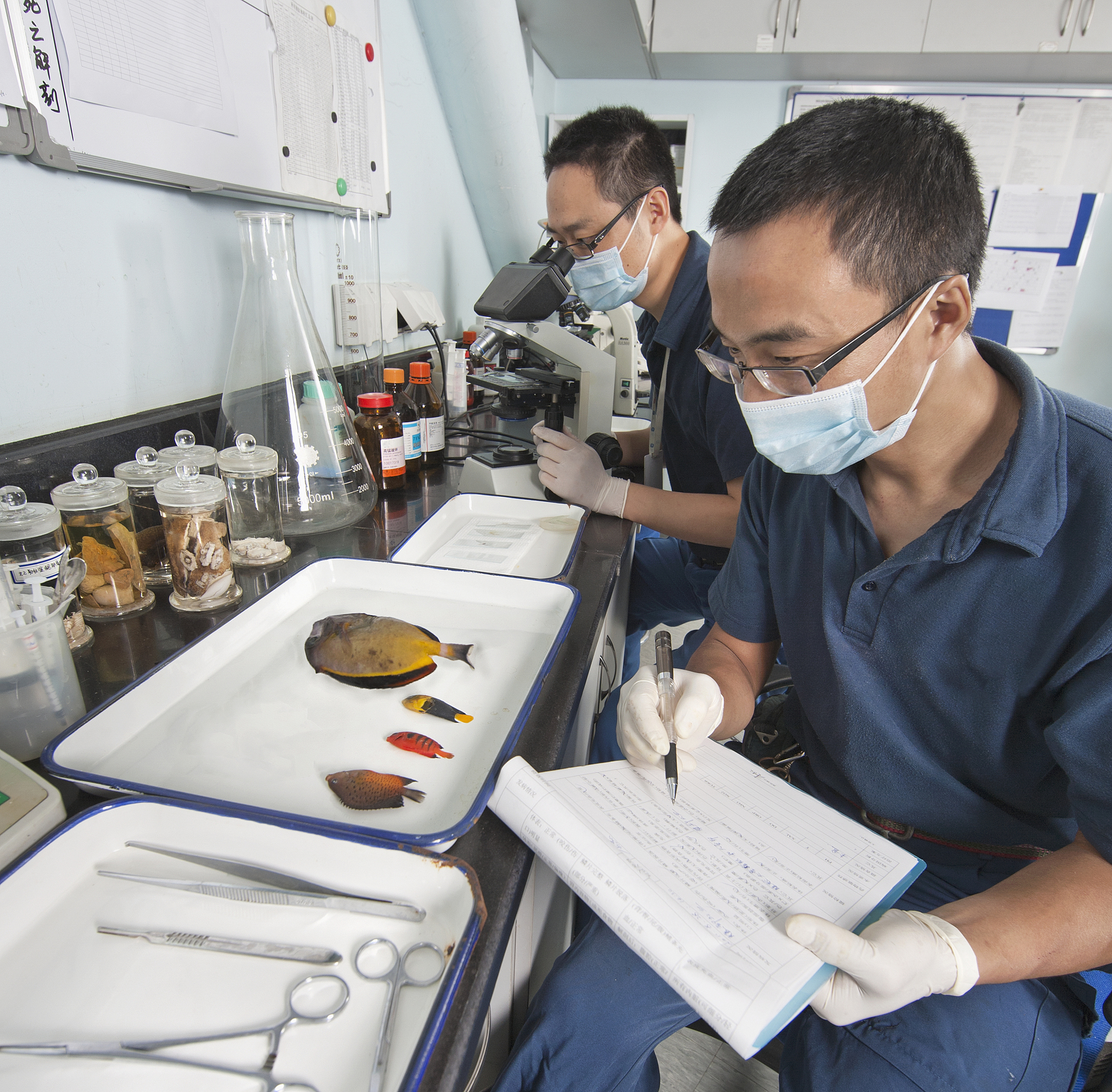 材料研发工程师实习经历：从实验室到市场