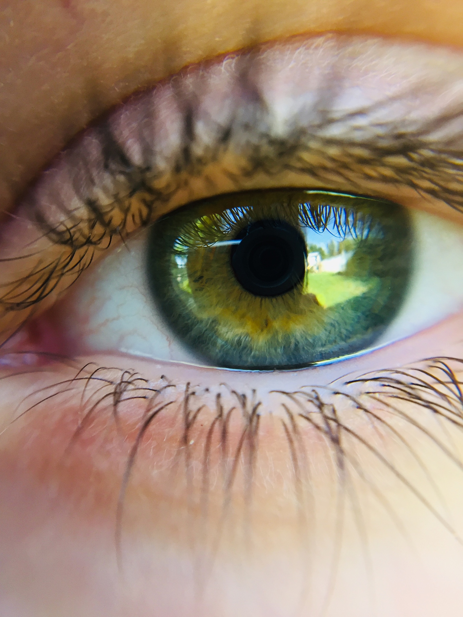 extreme close-up of human eye