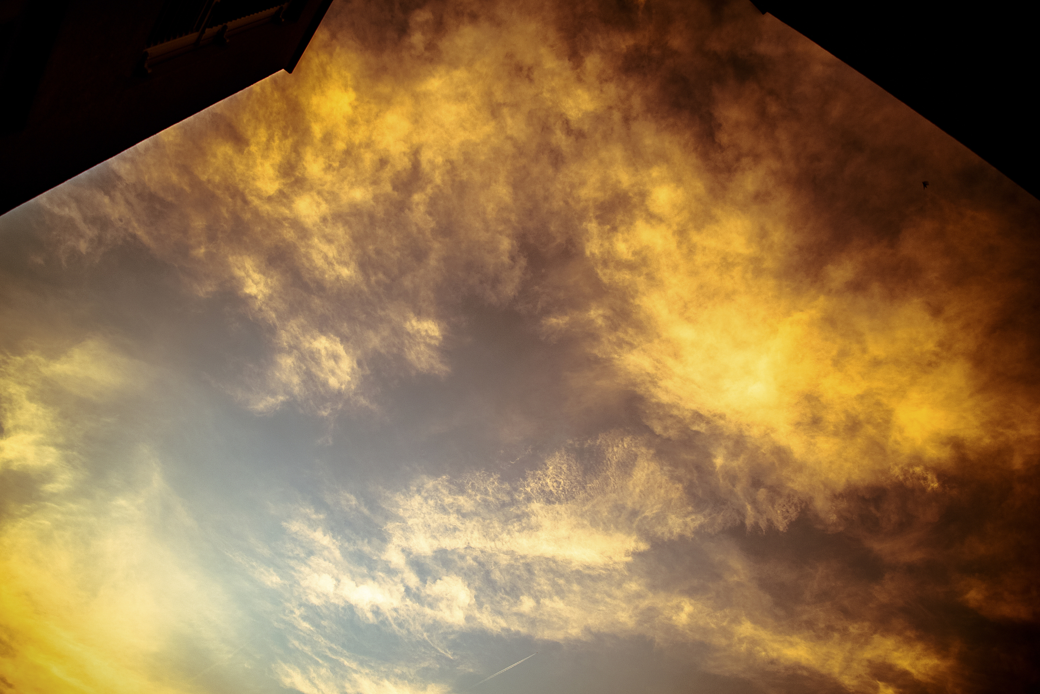 late afternoon sky with wispy clouds