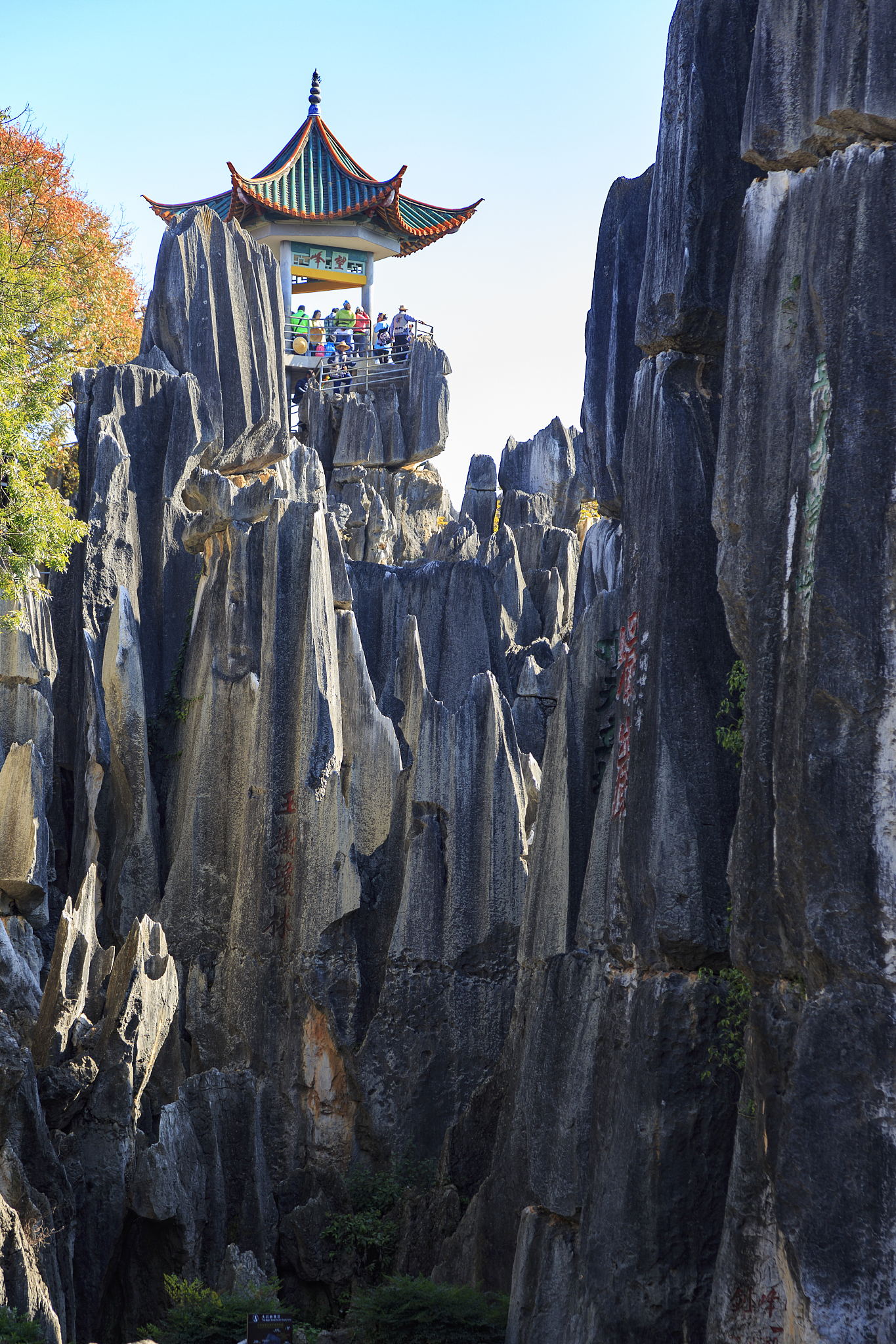 stone forest near kunming, yunnan china