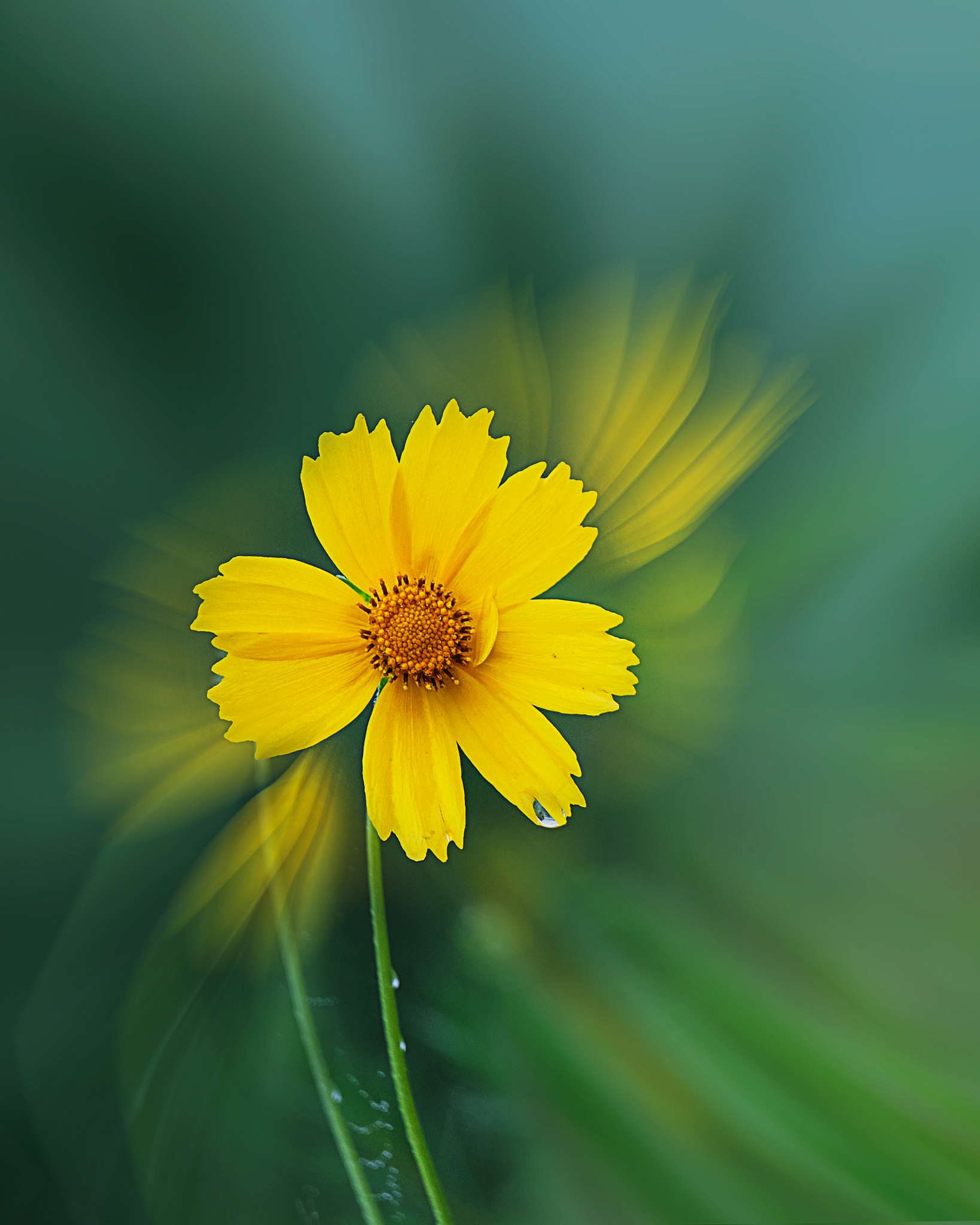 花仙子防御技能名称：50个创意灵感