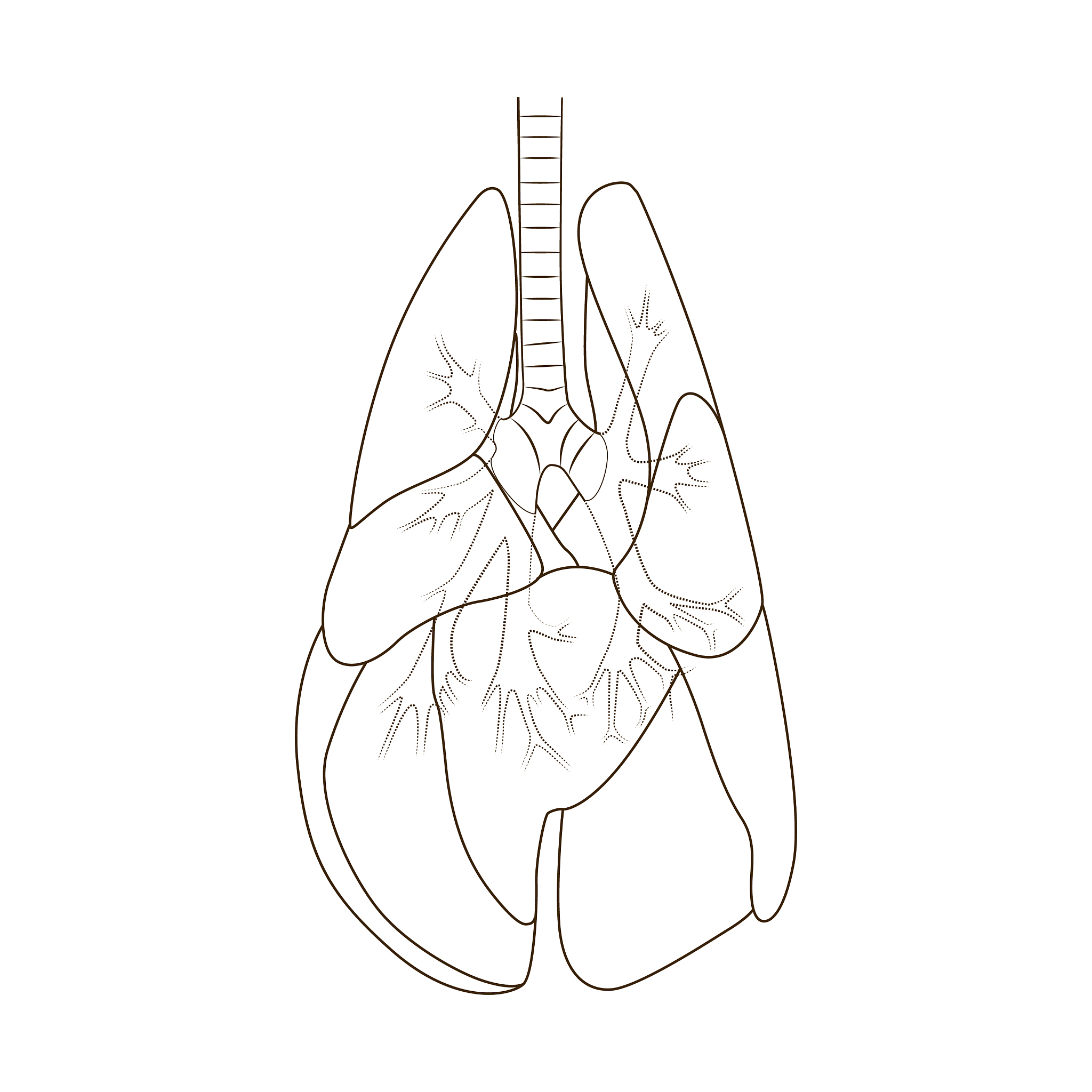 狗狗寄生虫感染症状