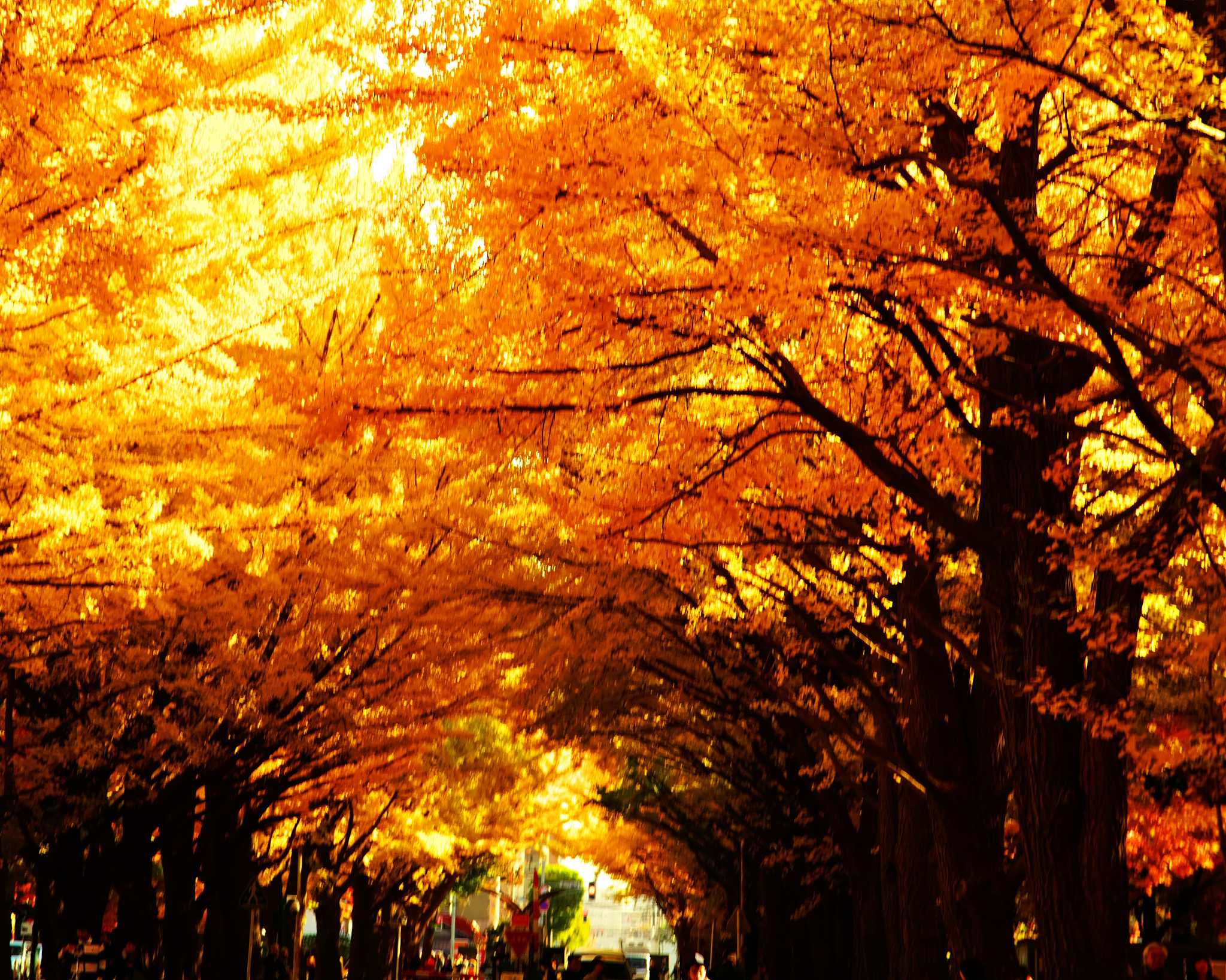 花钟是按照什么顺序写的