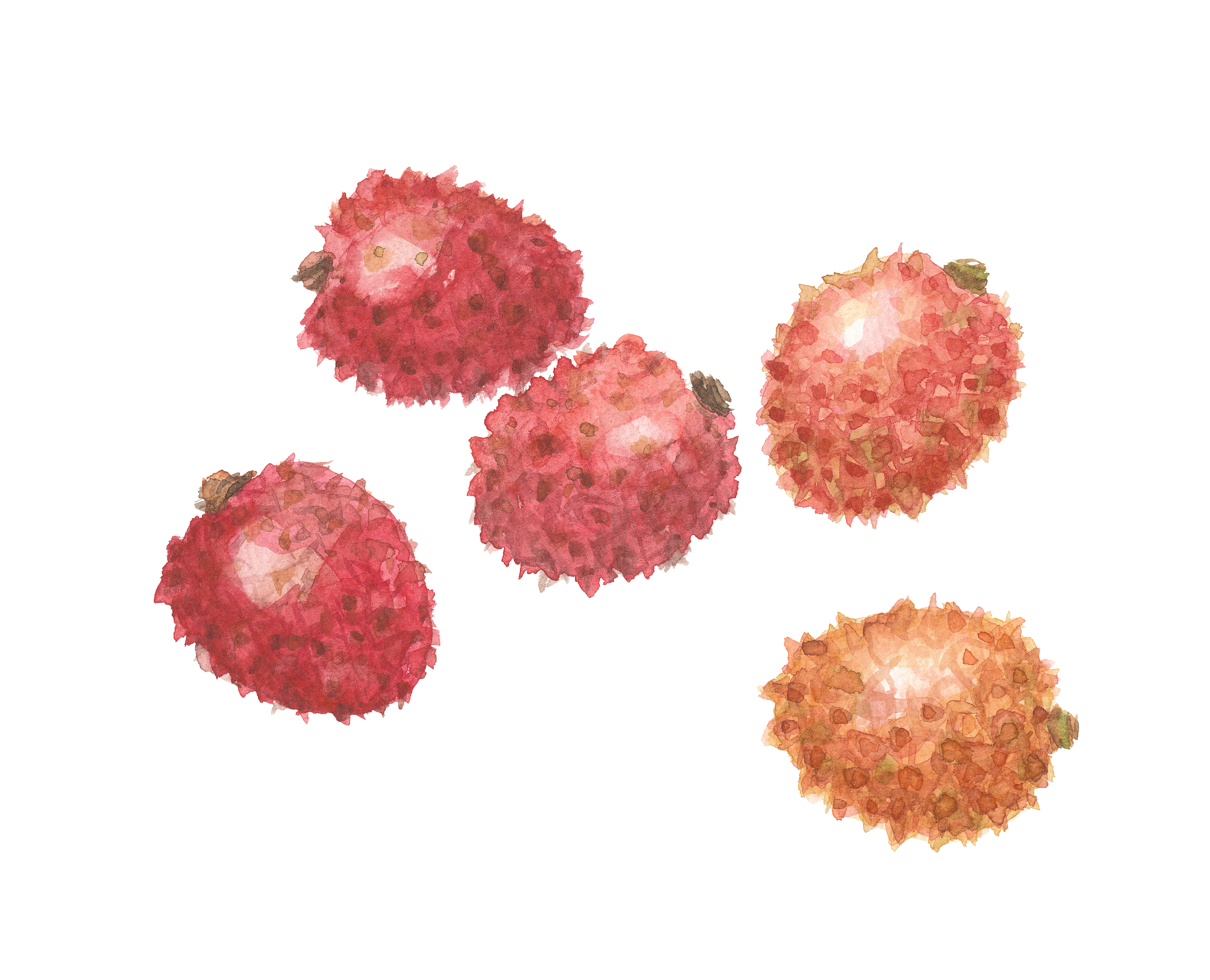 荔枝酒的做法_荔枝酒怎么做